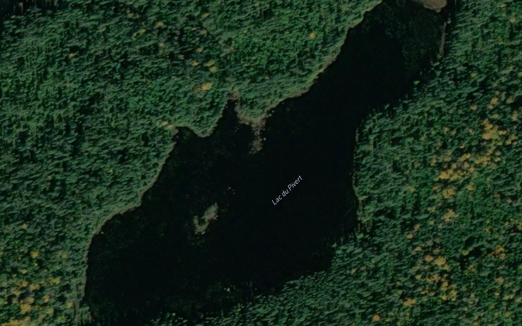 Satellite map of the Lac du Pivert