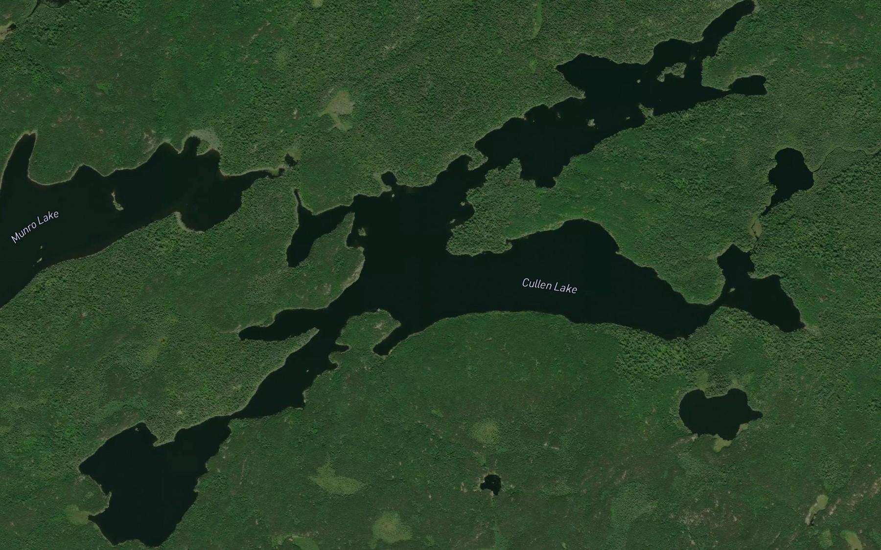 Satellite map of the Cullen Lake