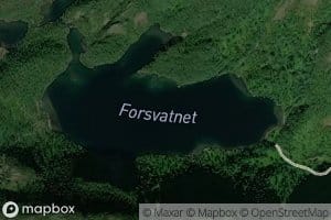 Forsvatnet