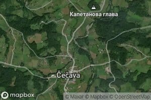 Cecavica