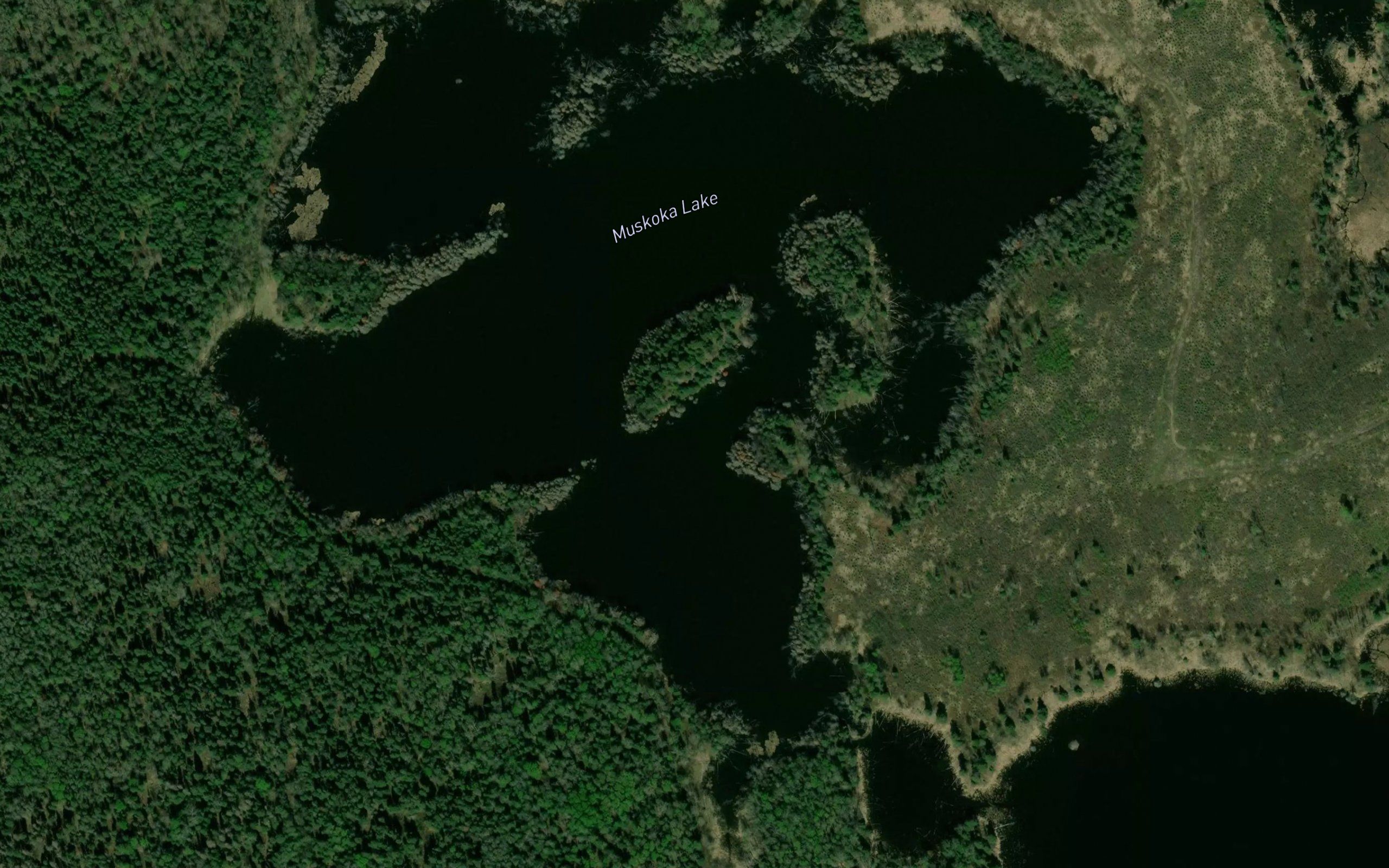 Muskoka Lake