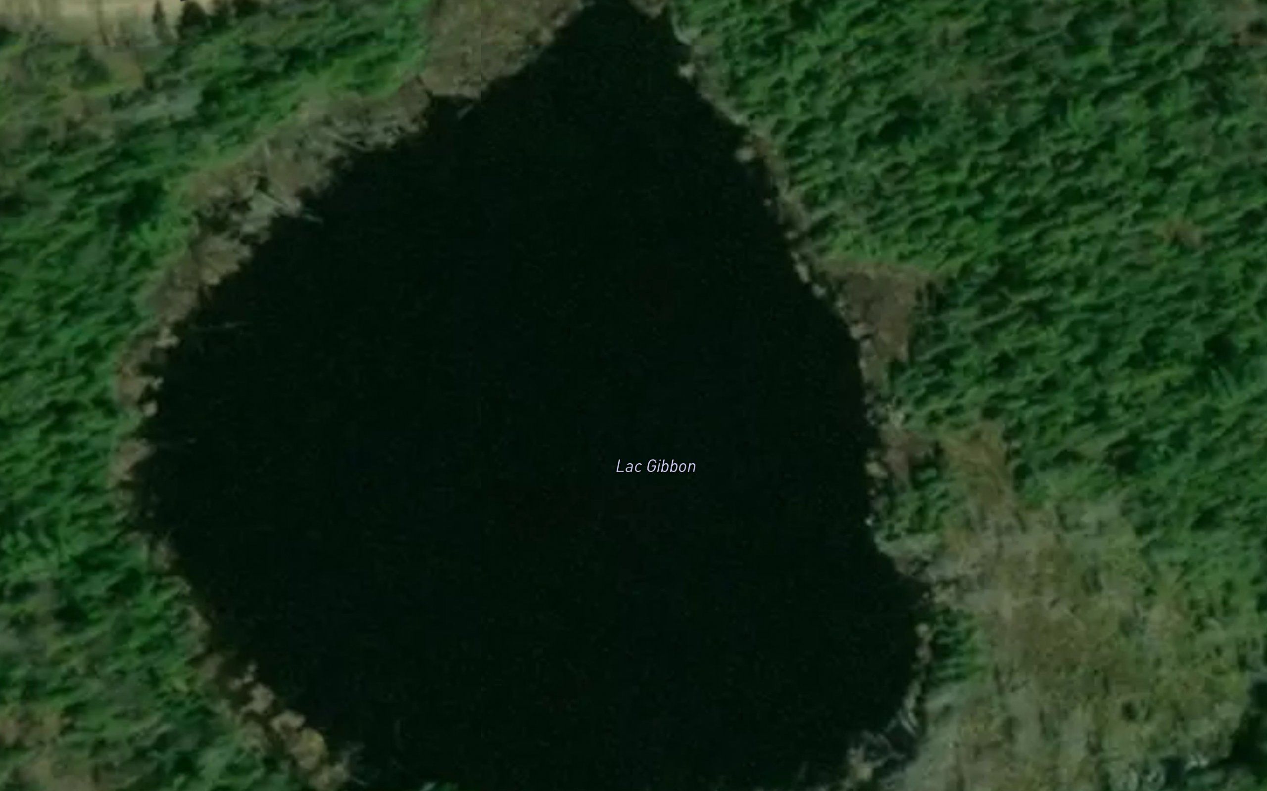 Lac Gibbon