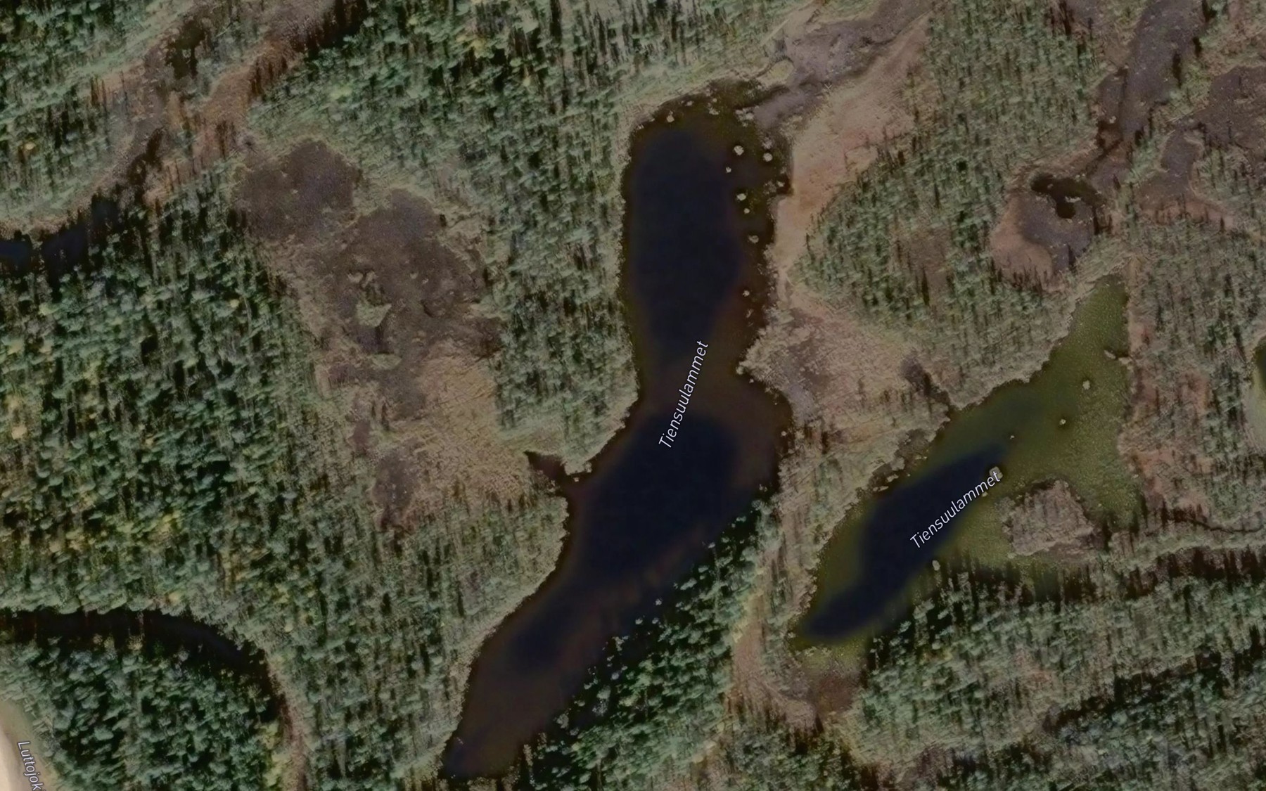 Satellite map of the Tiensuulammet
