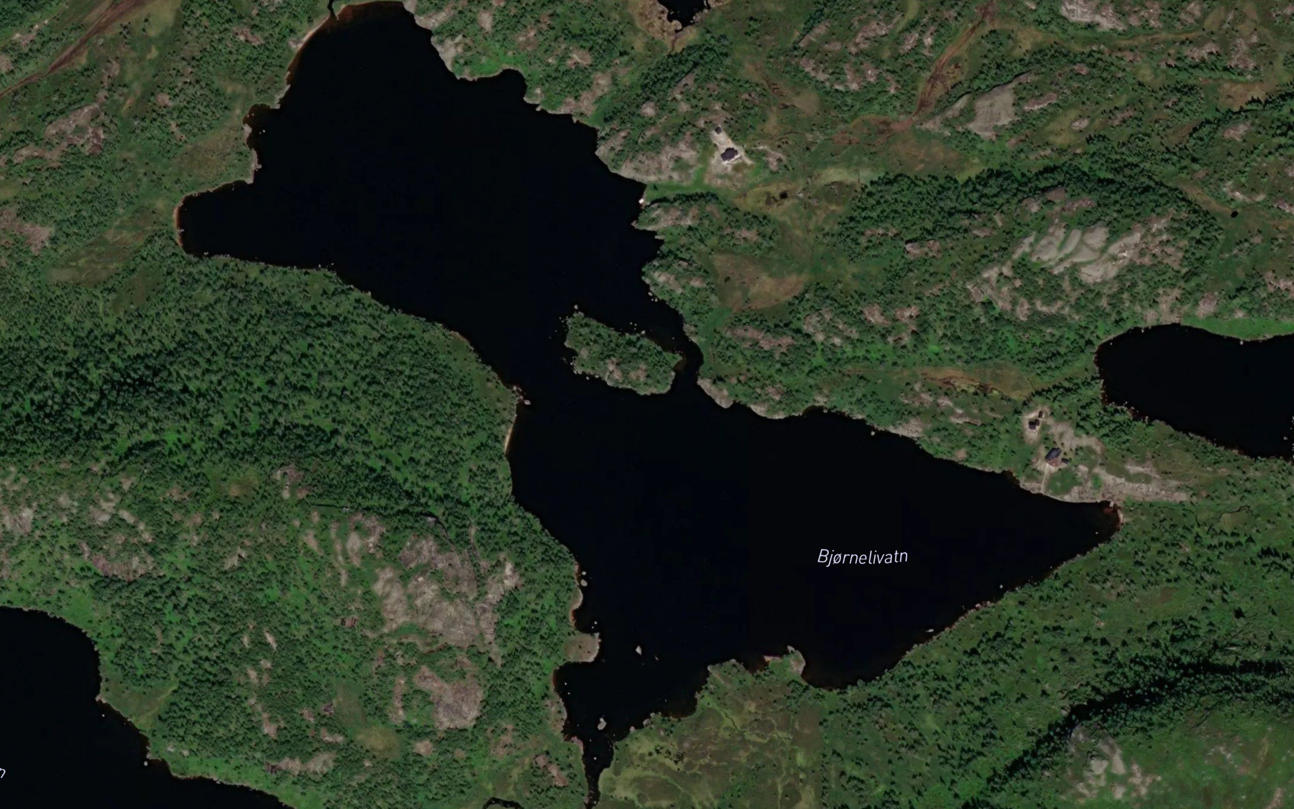 Bjornelivatn