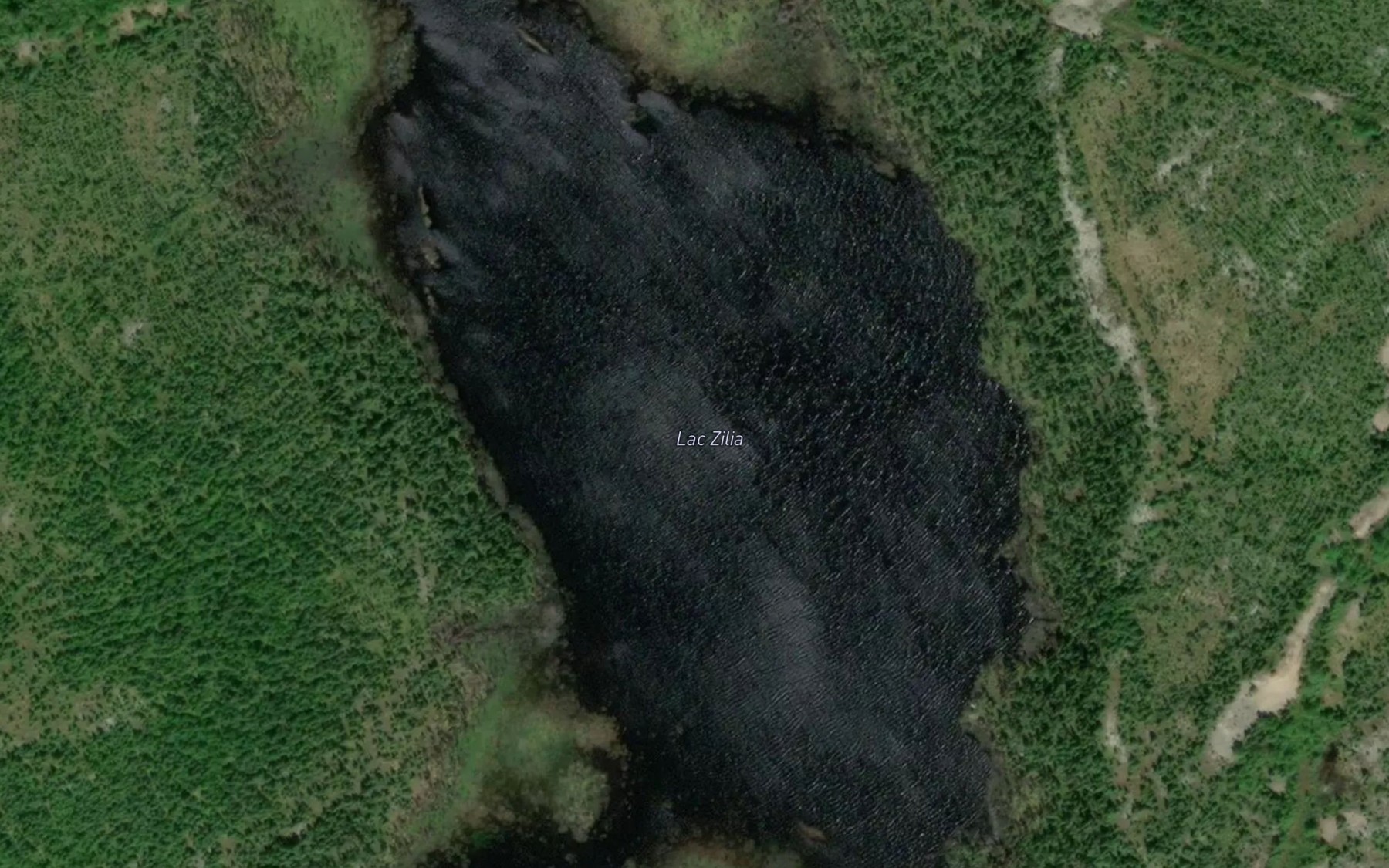 Satellite map of the Lac Zilia