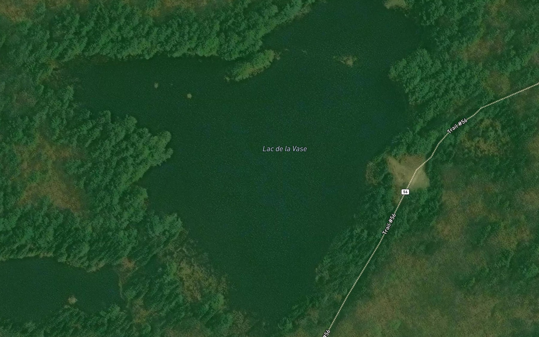 Satellite map of the Lac de la Vase