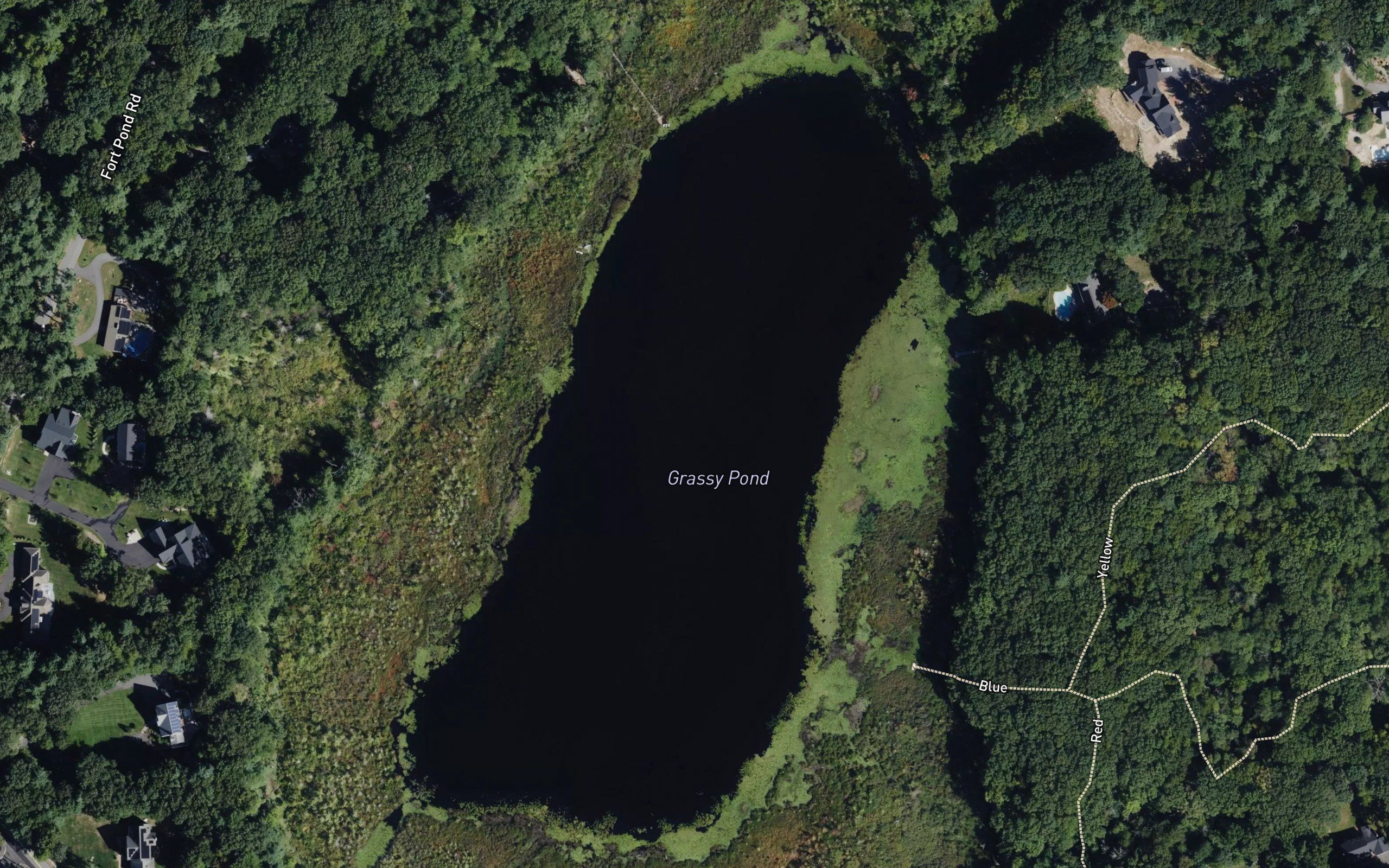 Grassy Pond