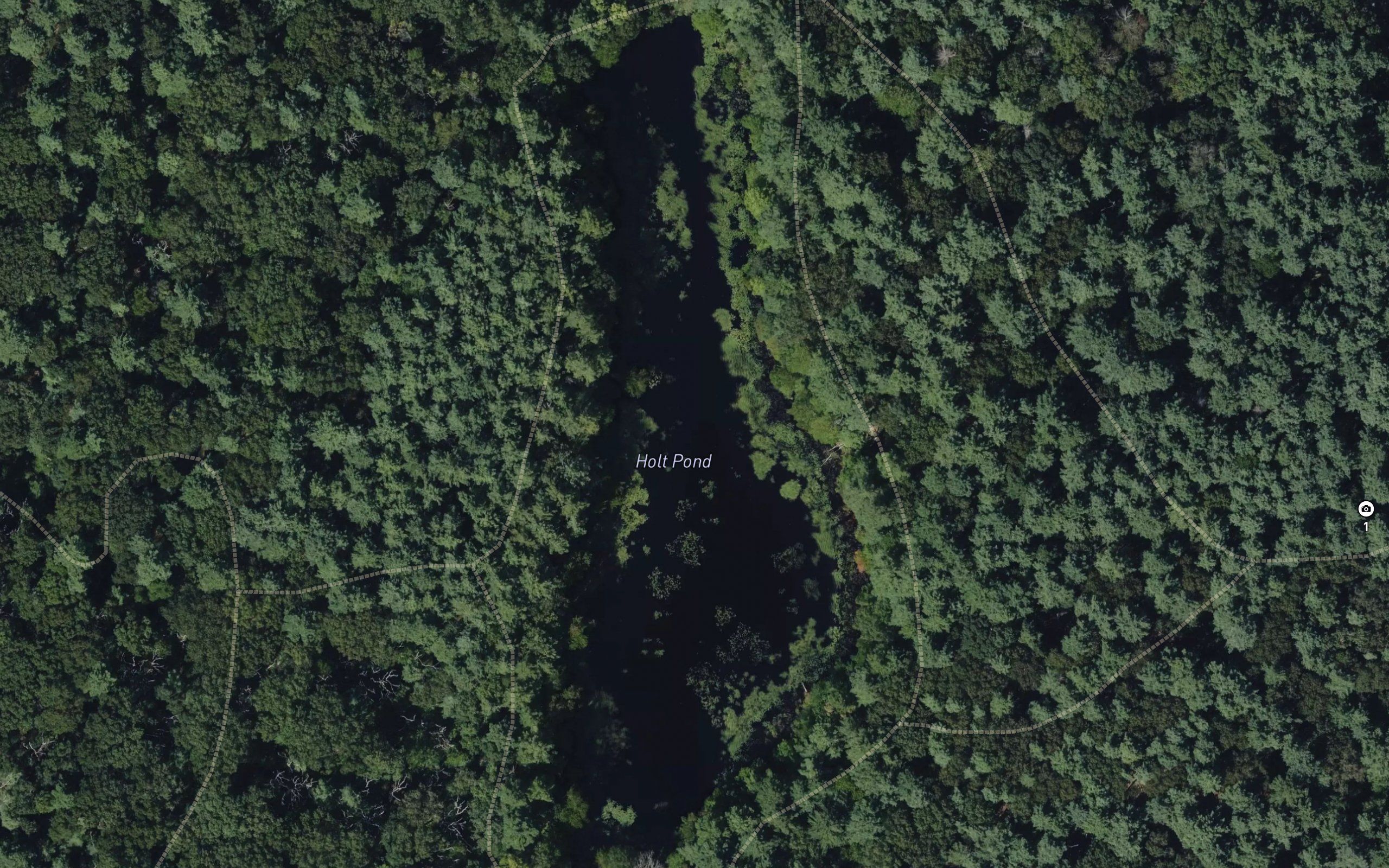 Holt Pond
