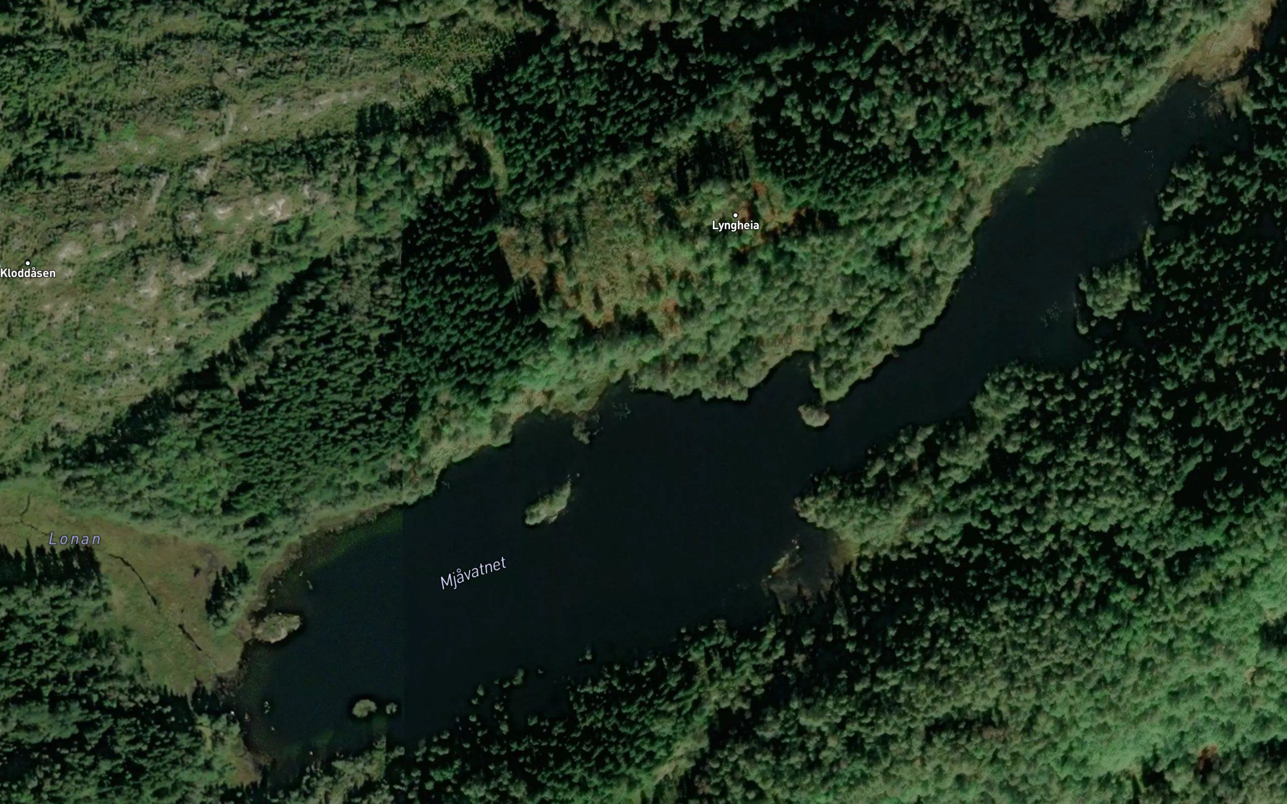 Mjavatnet
