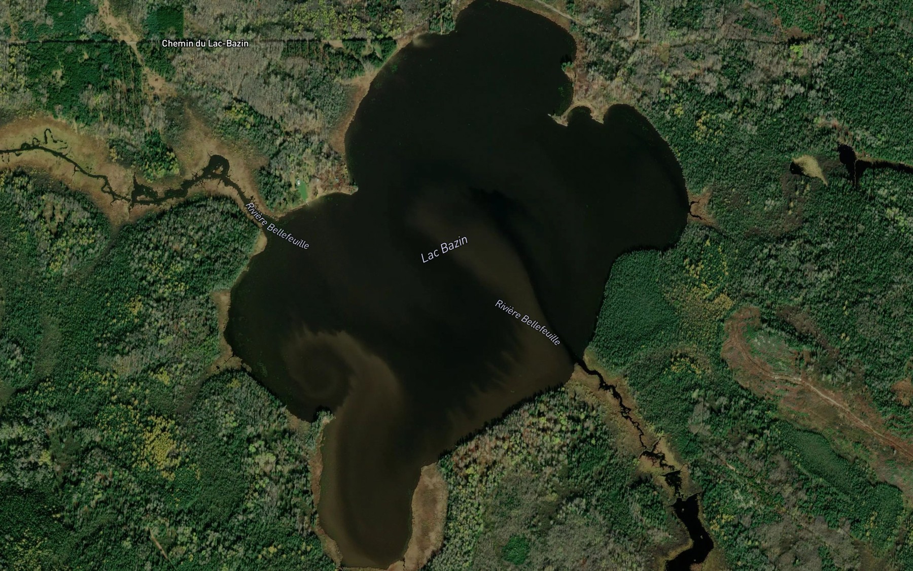 Satellite map of the Lac Bazin