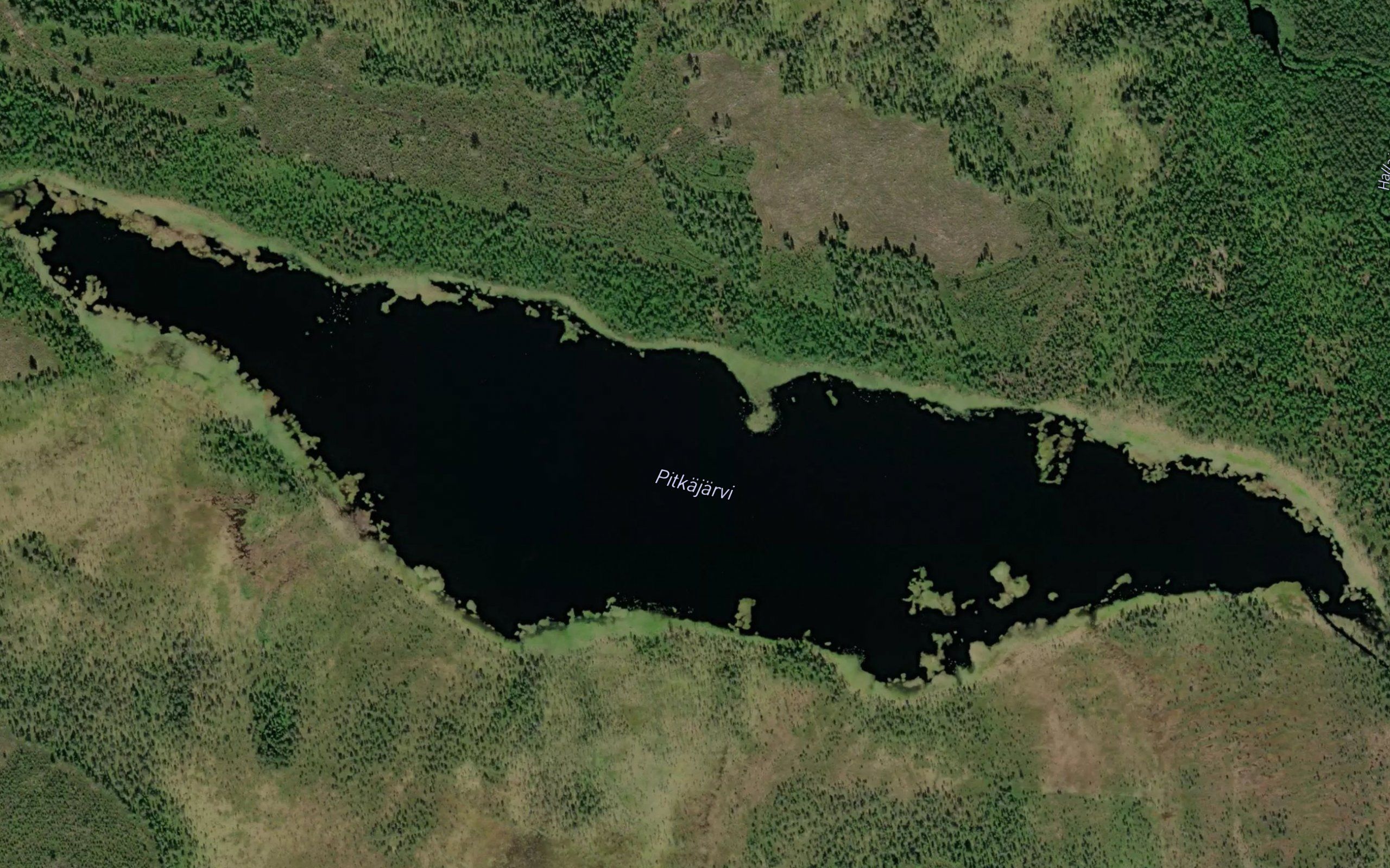 Pitkajarvi