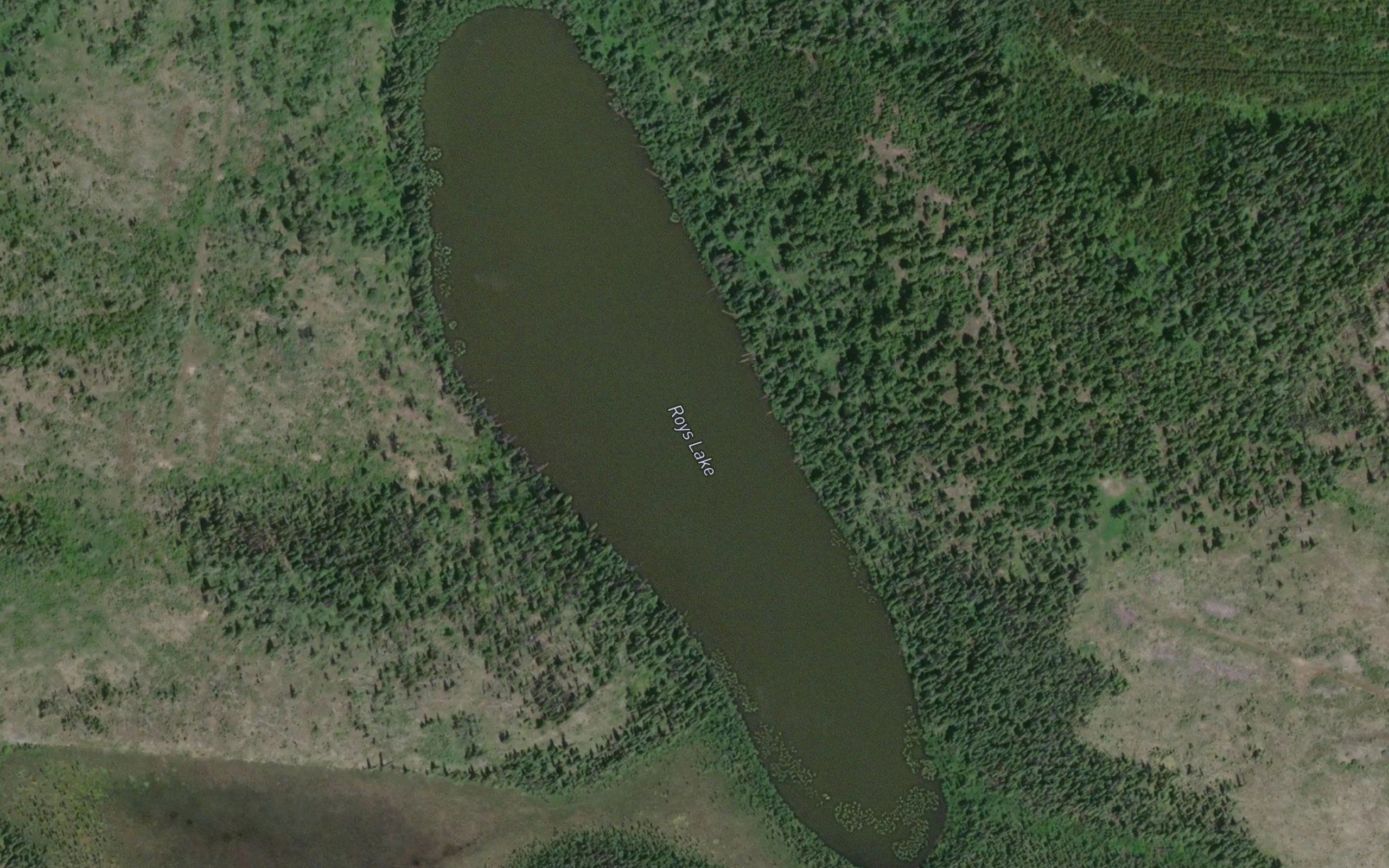 Roys Lake