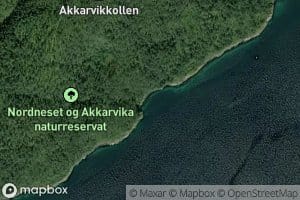 Akkarvika