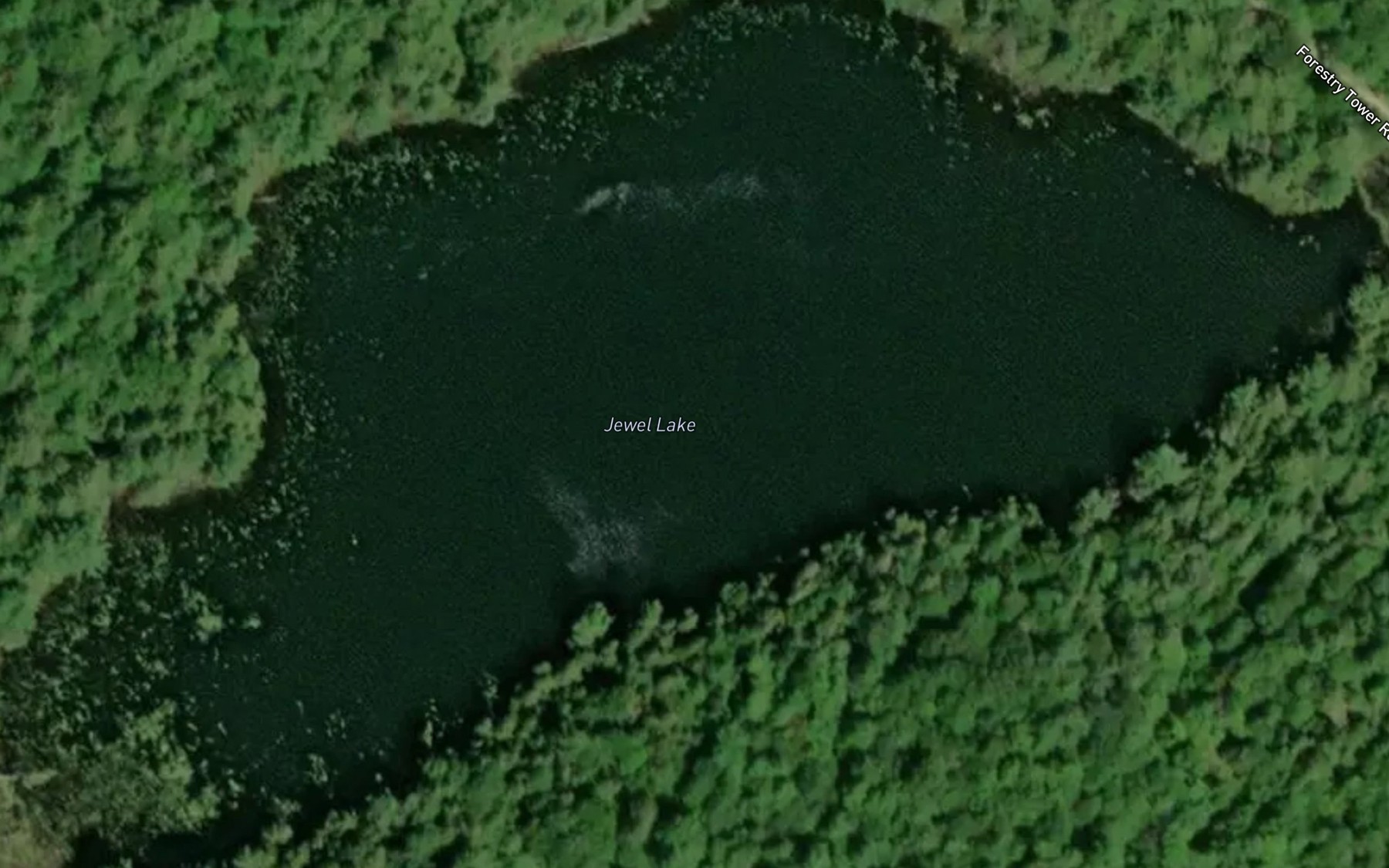 Satellite map of the Jewel Lake