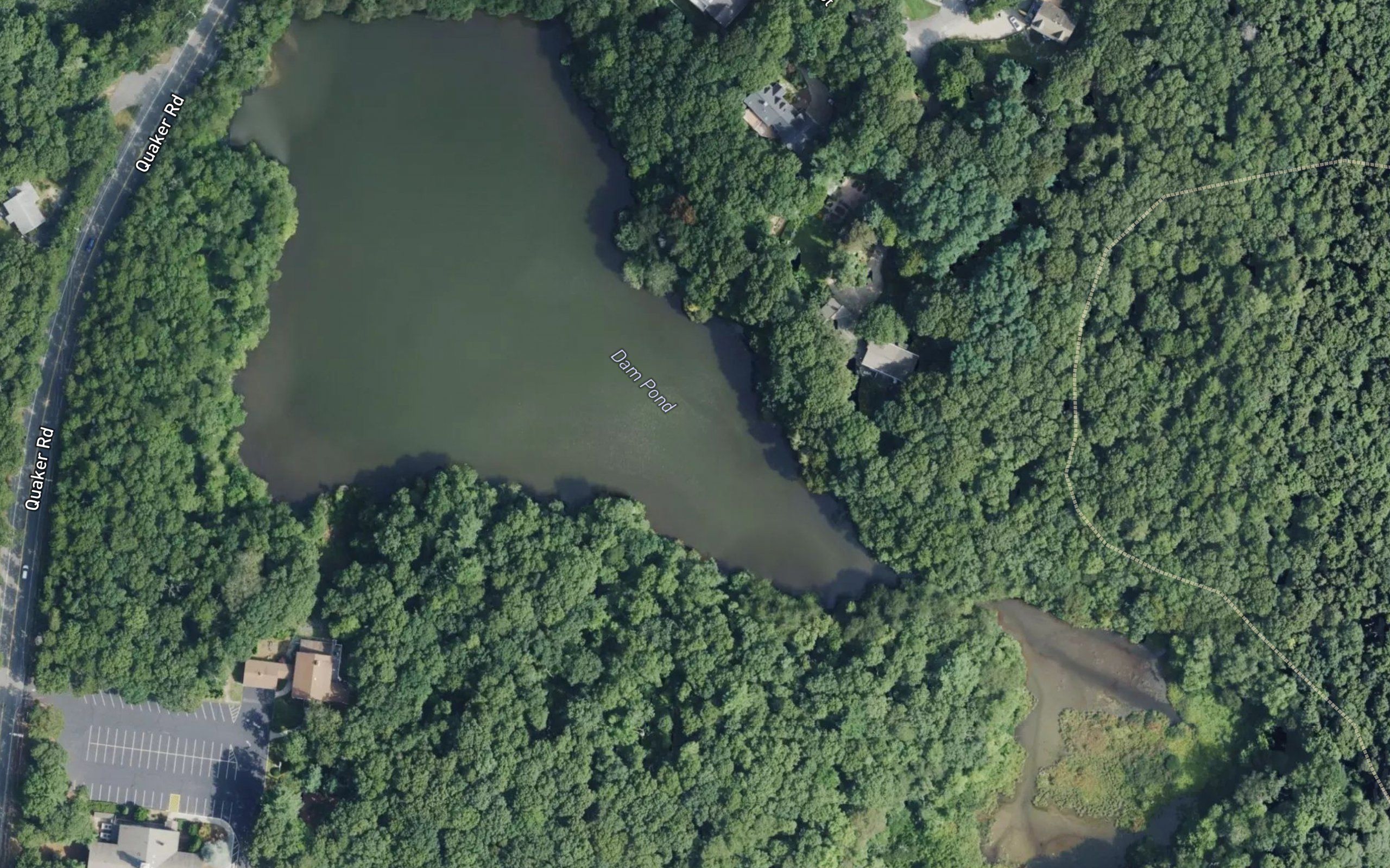 Dam Pond
