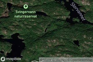 Svingerlitjonna