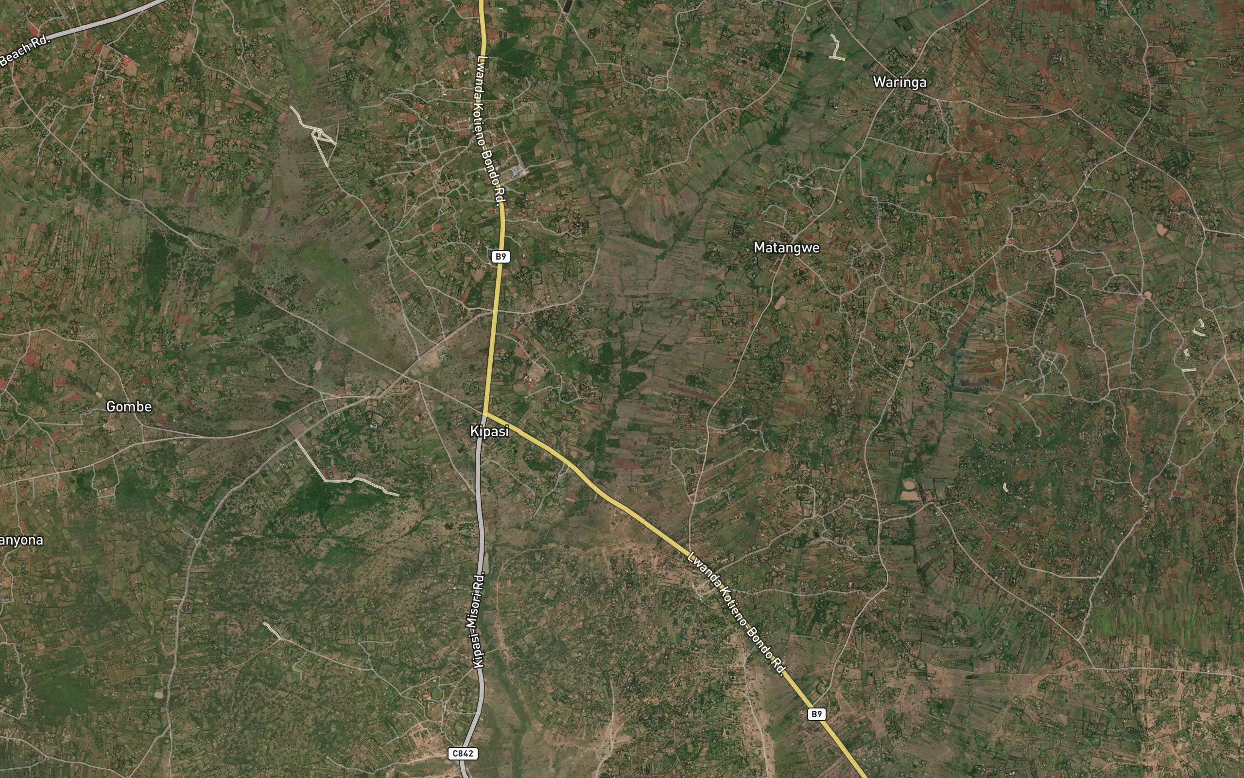 Waringa