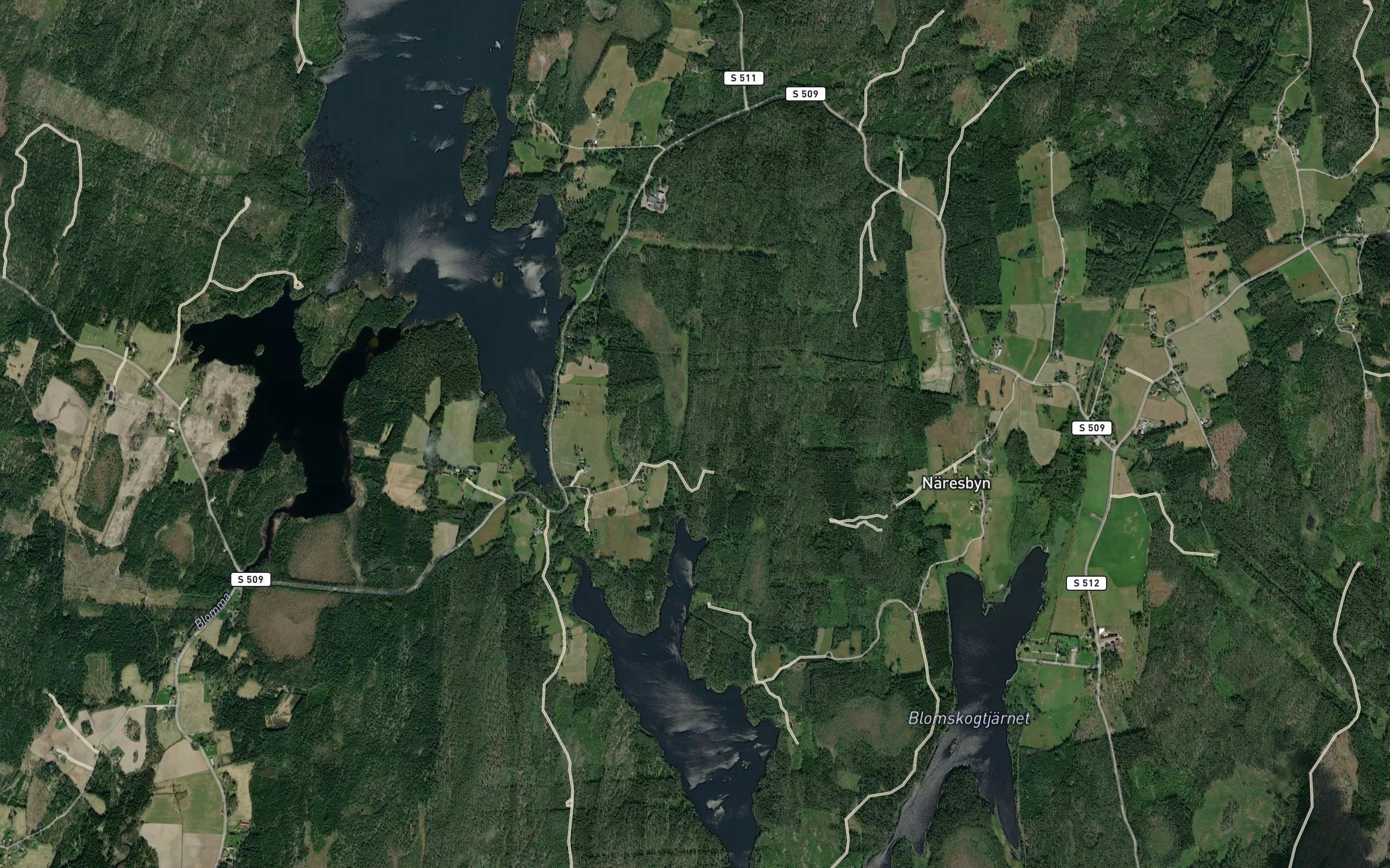 Svarttjarn