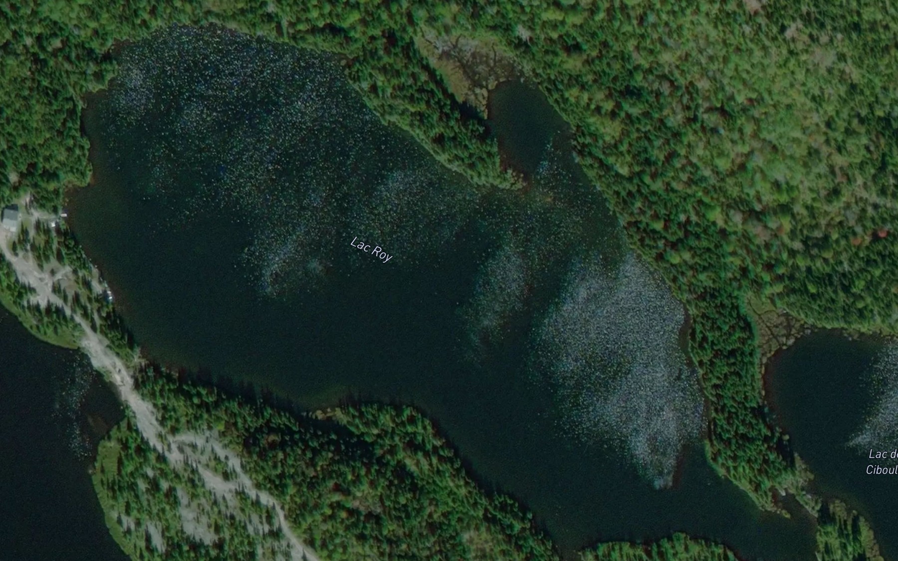 Satellite map of the Lac Roy