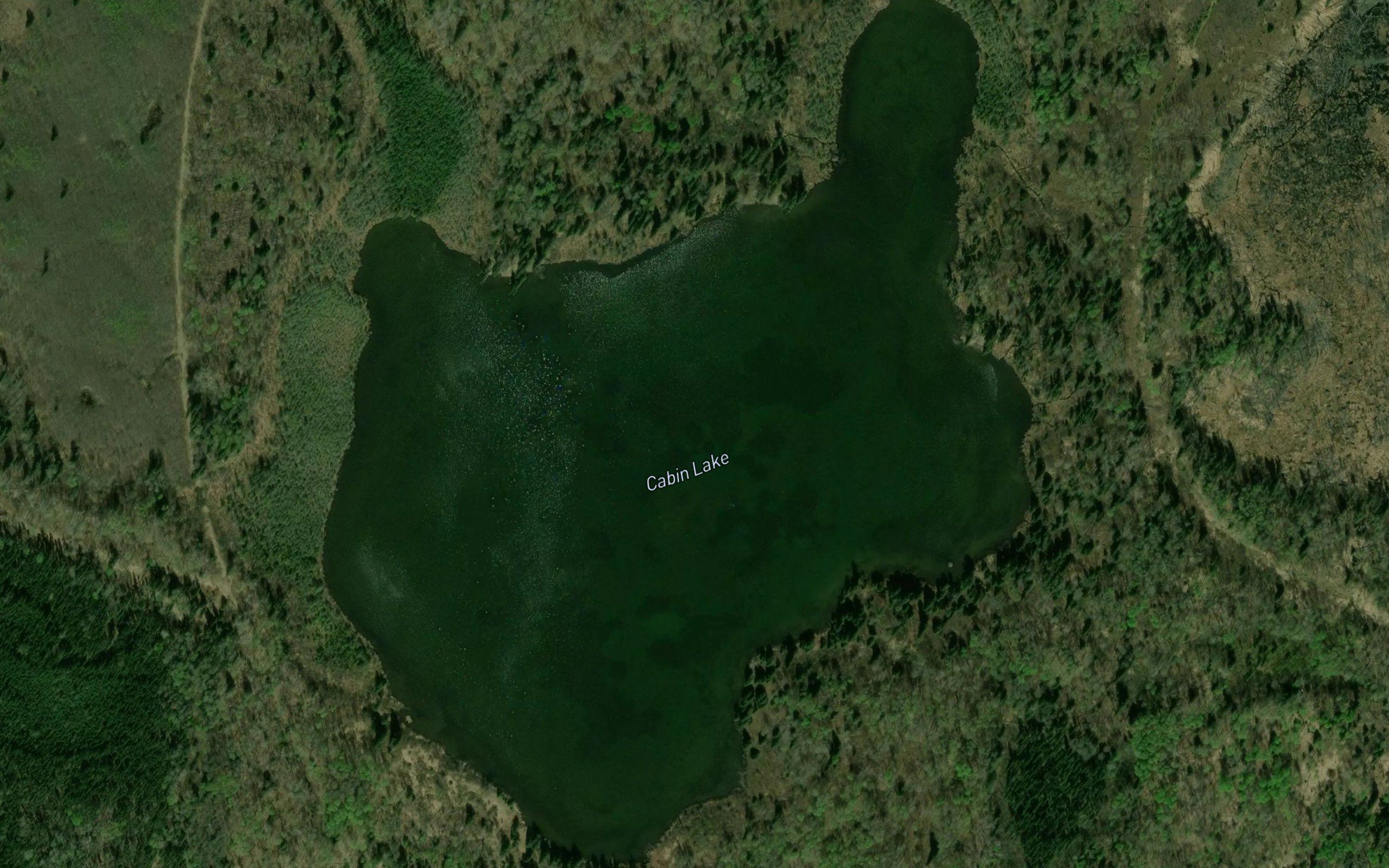 Cabin Lake