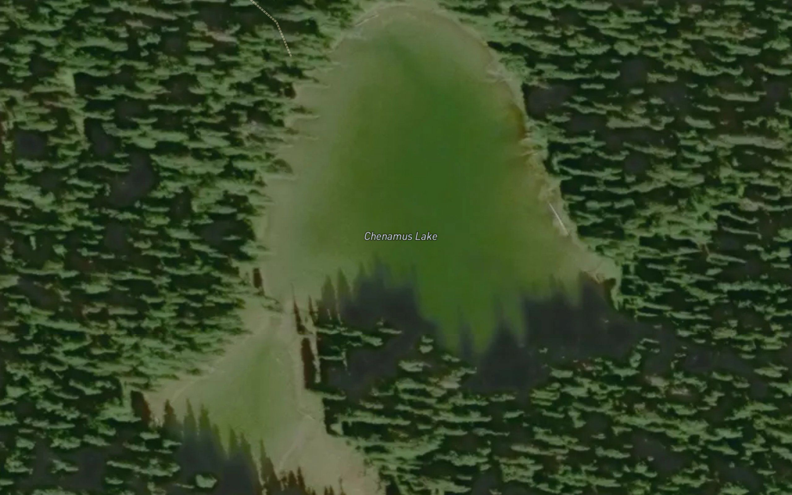 Chenamus Lake