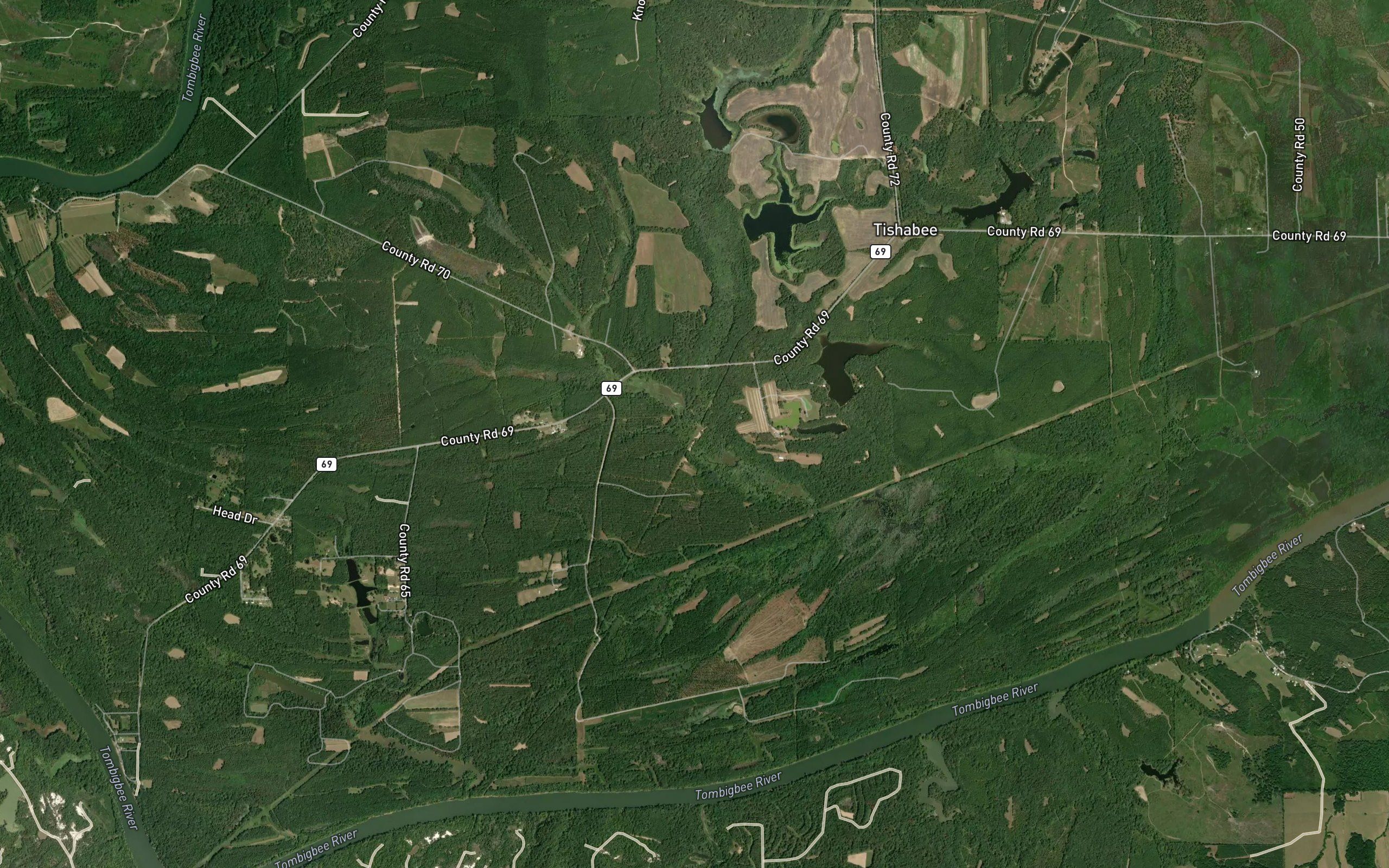 Taylor Branch