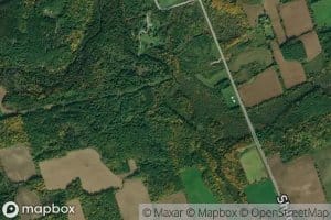 Biddy Creek
