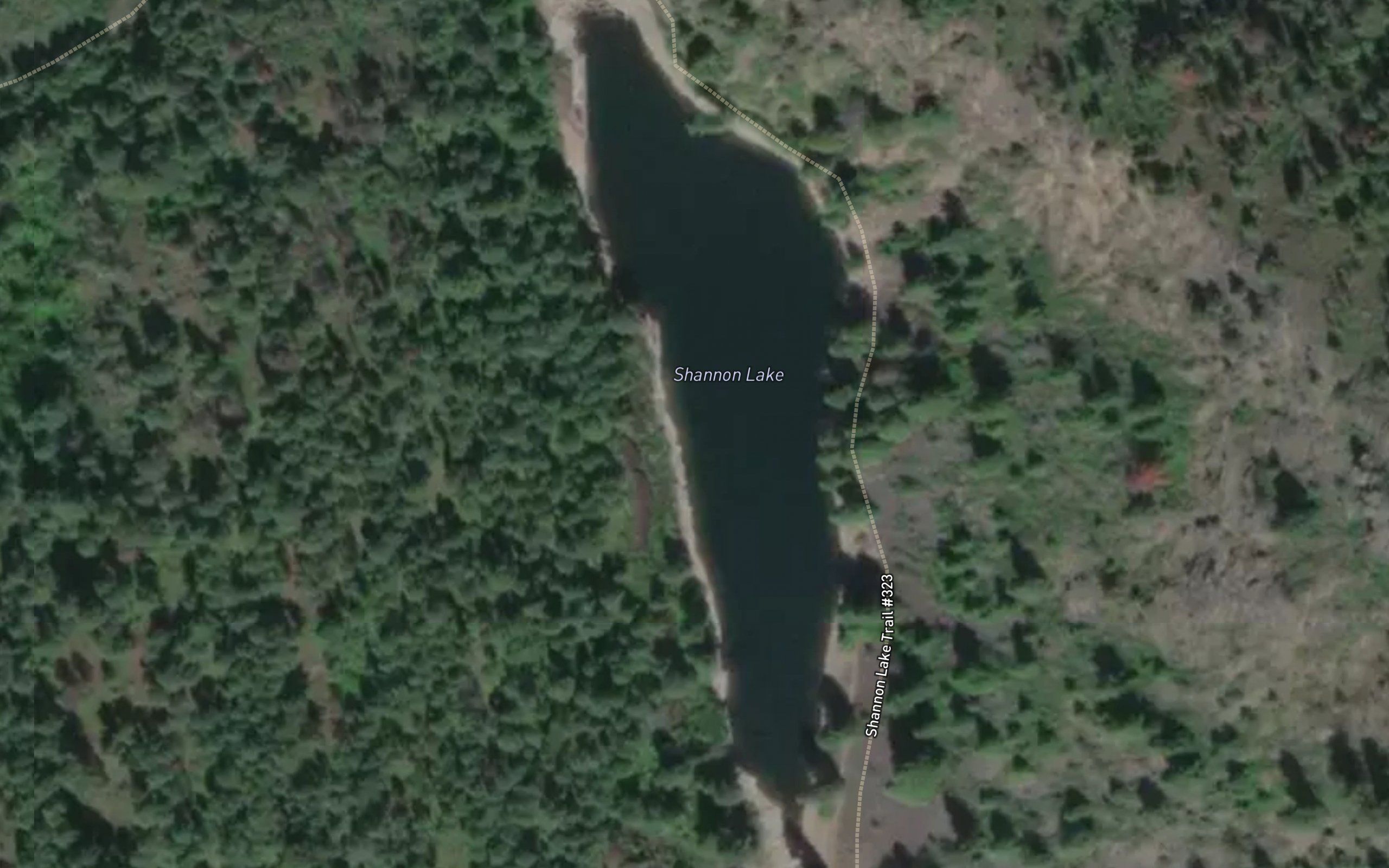 Shannon Lake