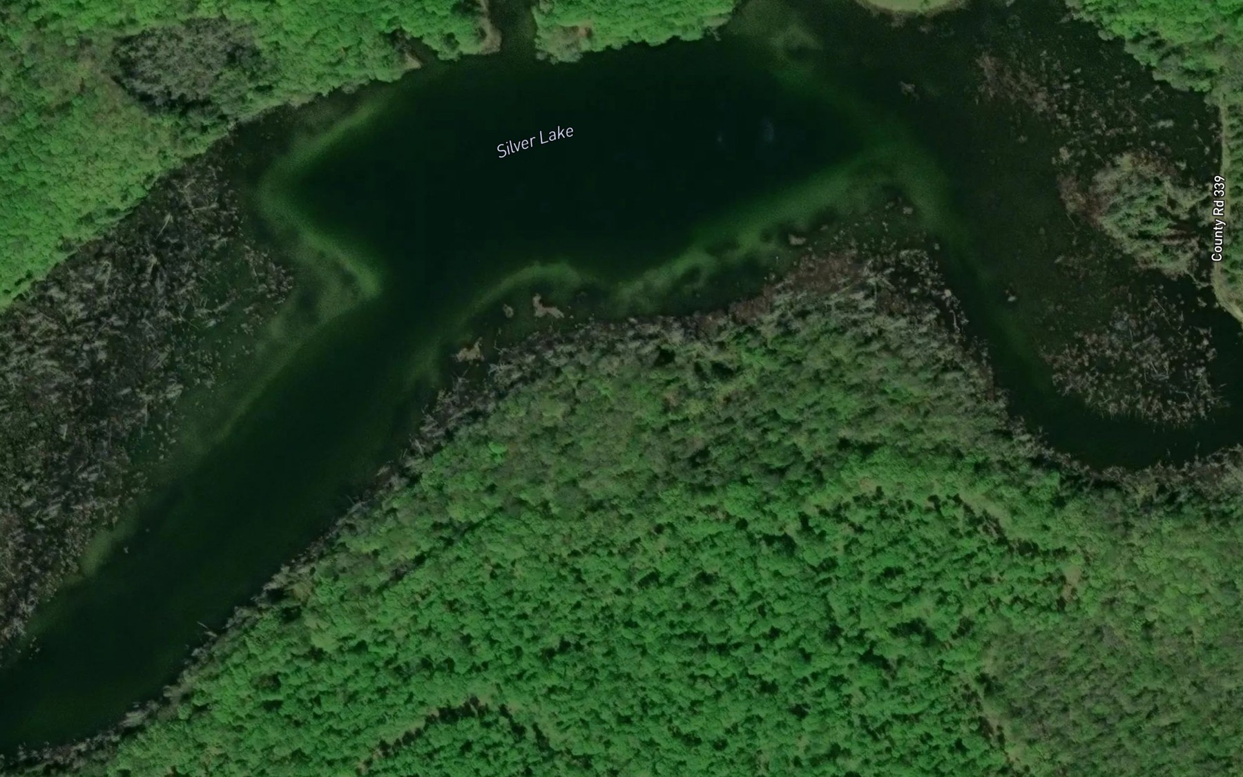 Satellite map of the Silver Lake