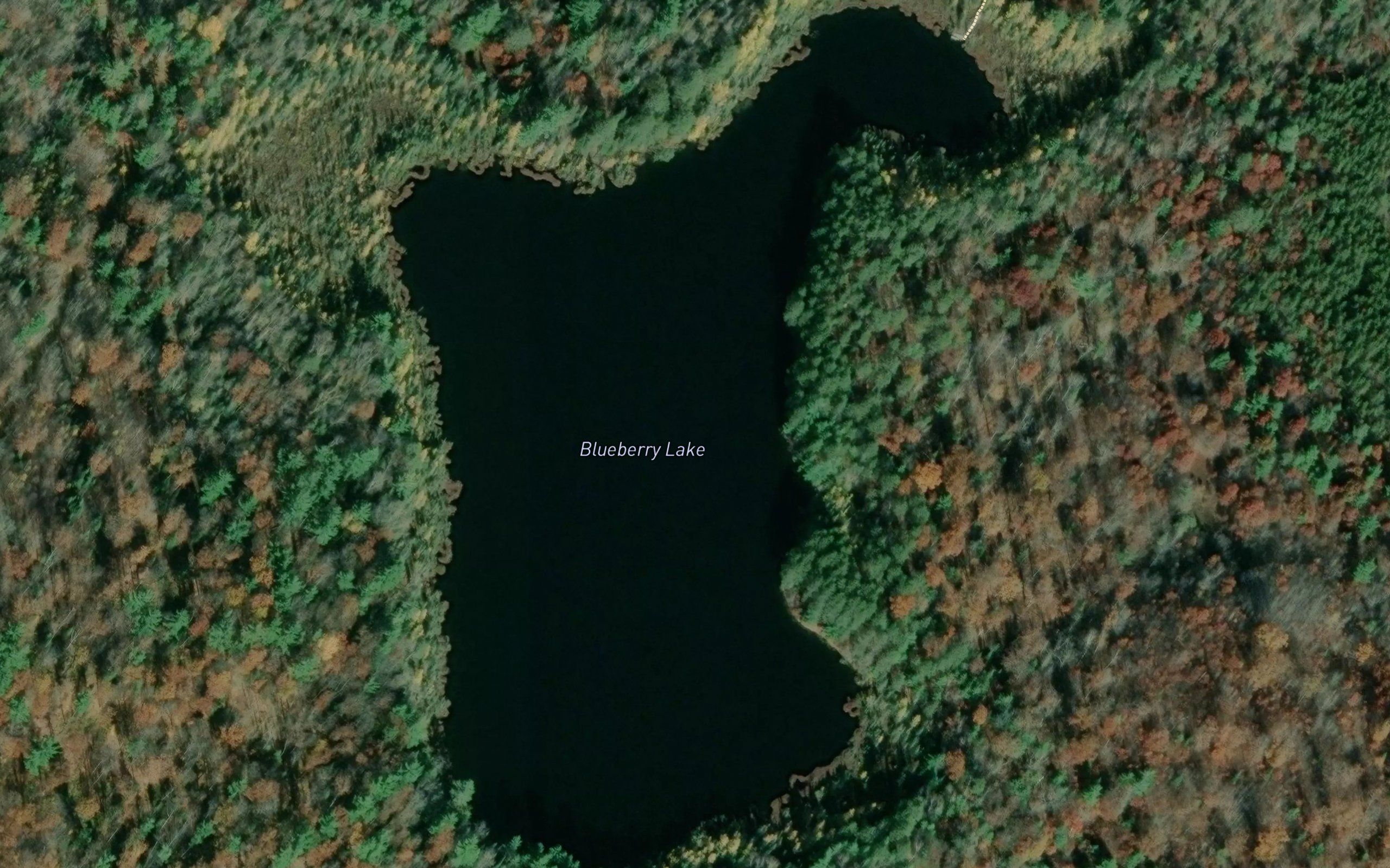 Blueberry Lake