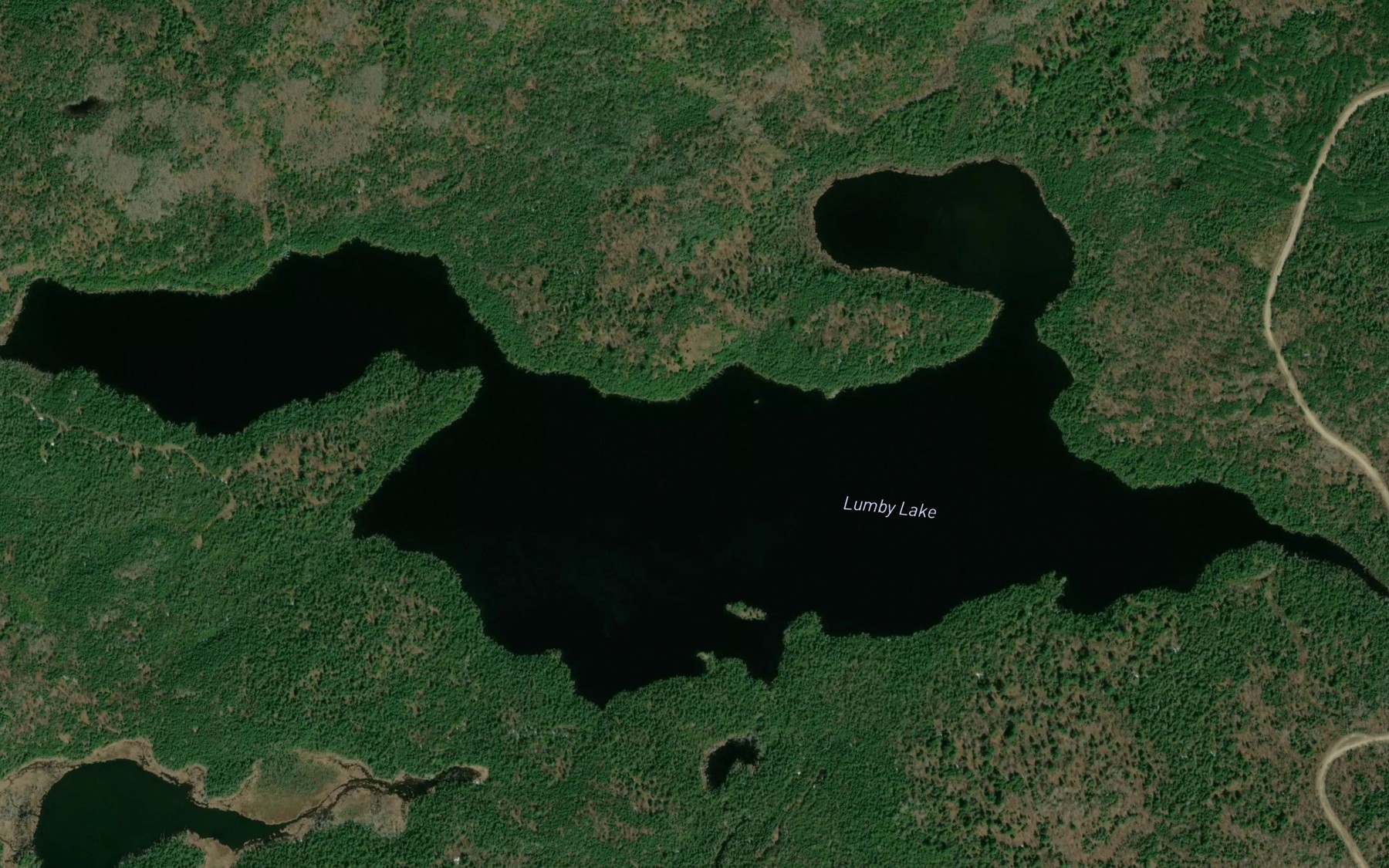 Satellite map of the Lumby Lake
