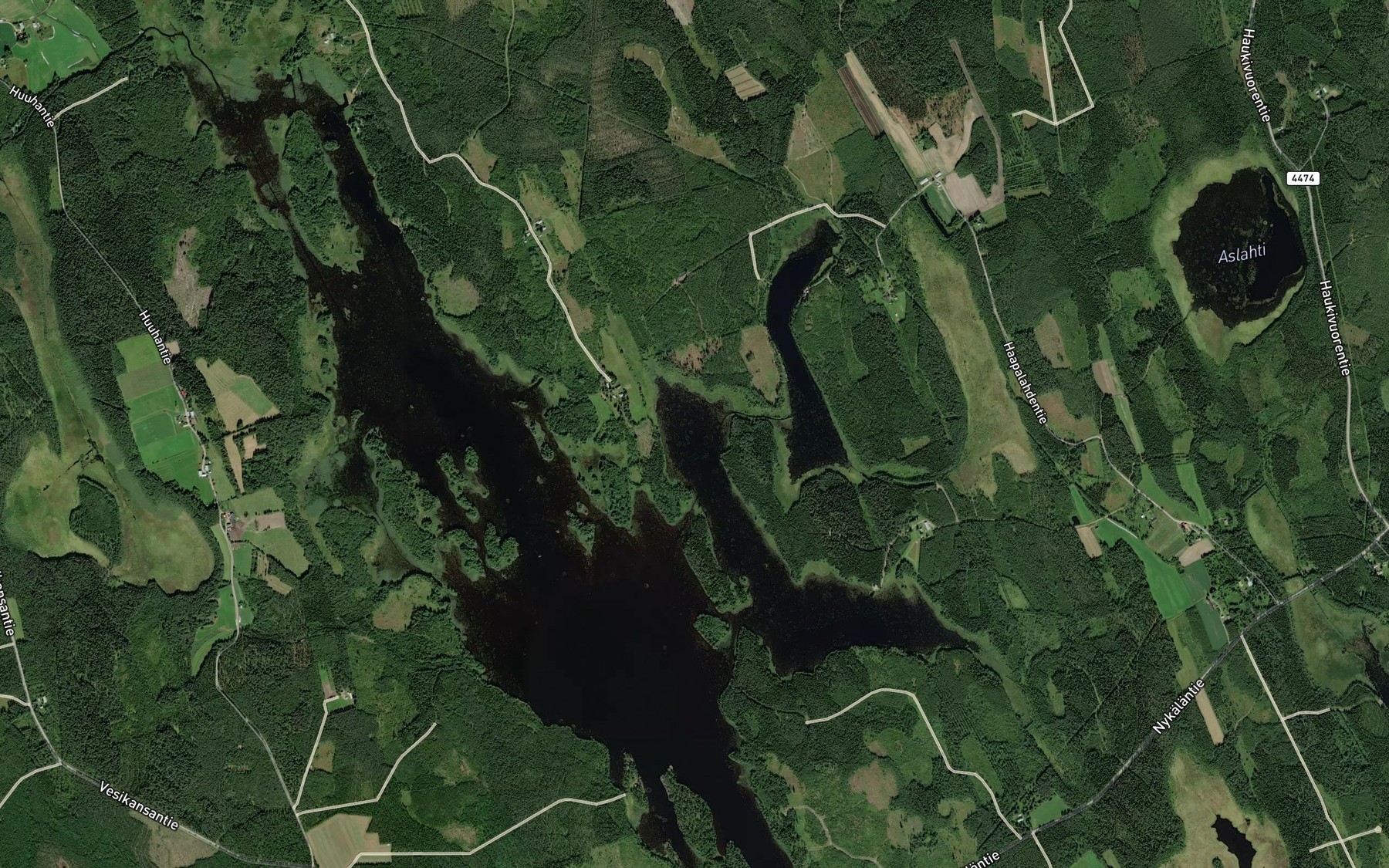 Satellite map of the Korpilahti