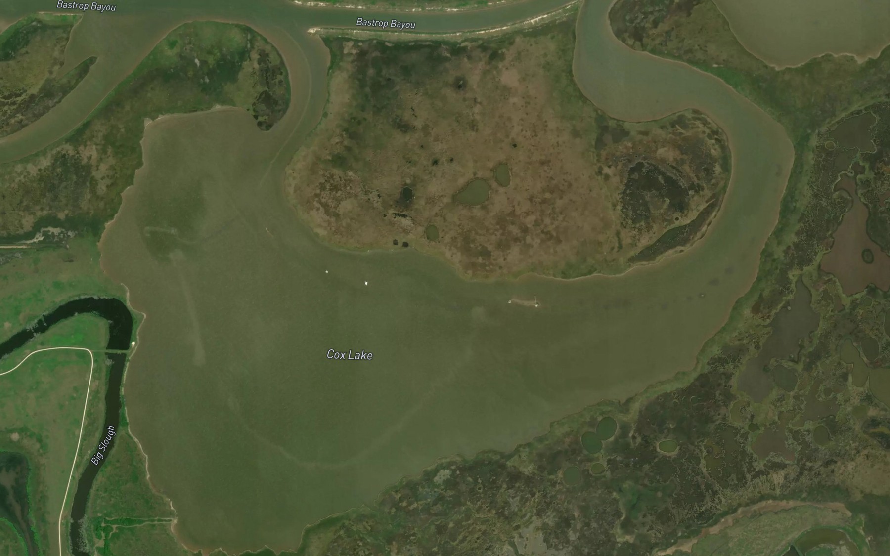 Satellite map of the Cox Lake