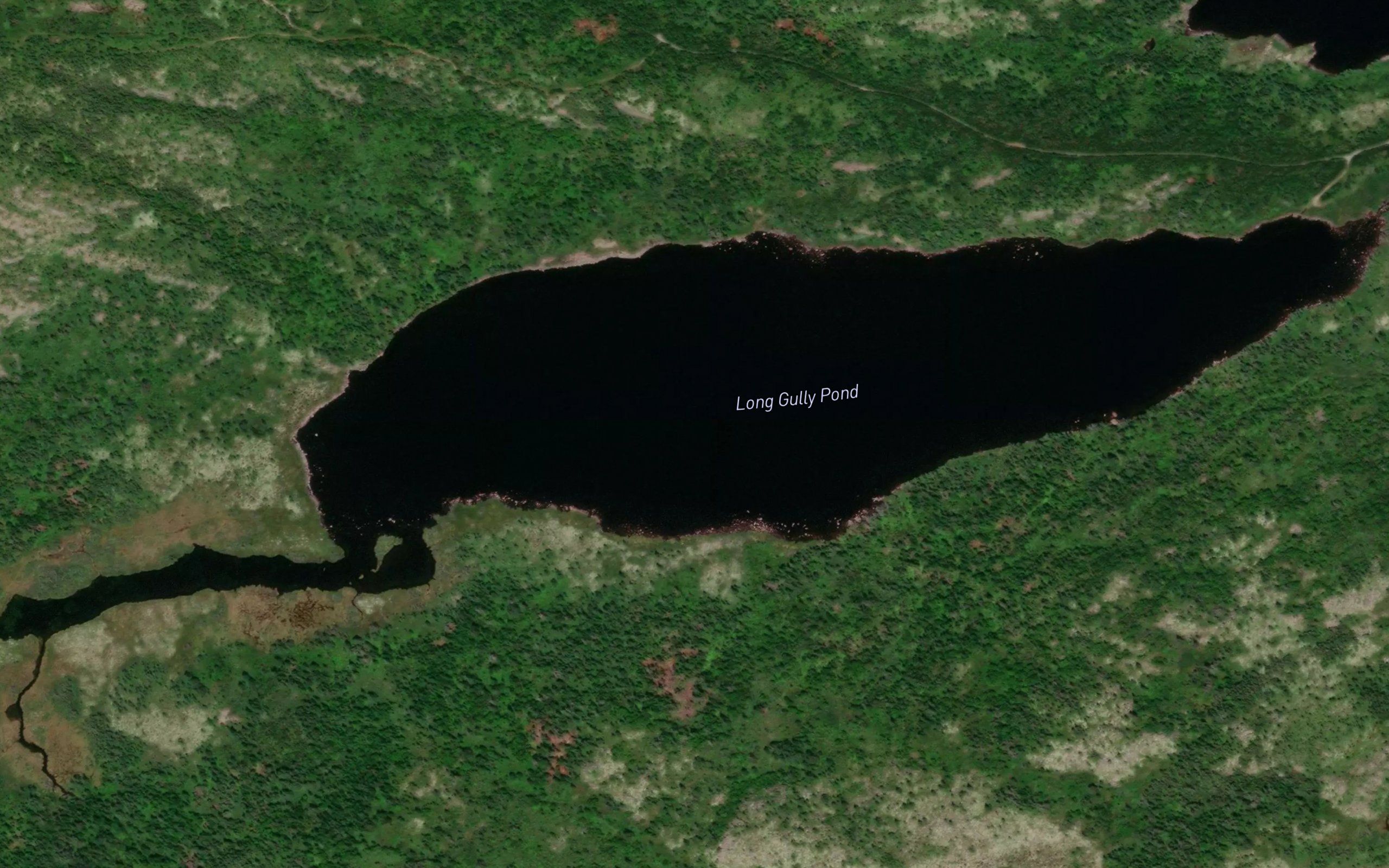 Long Gully Pond