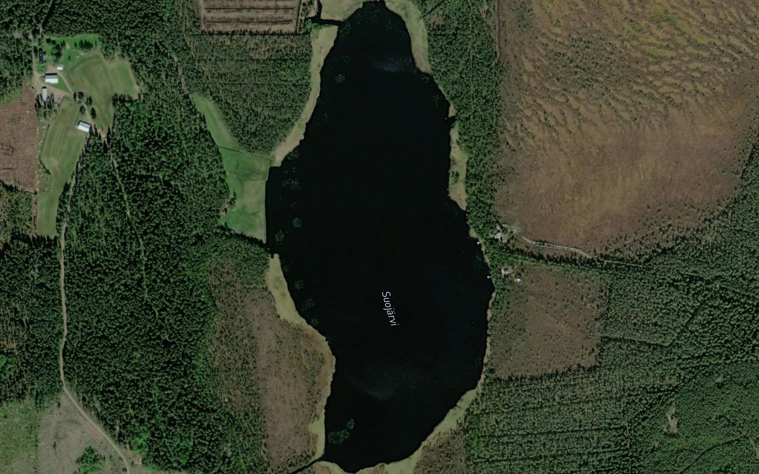 Suojarvi