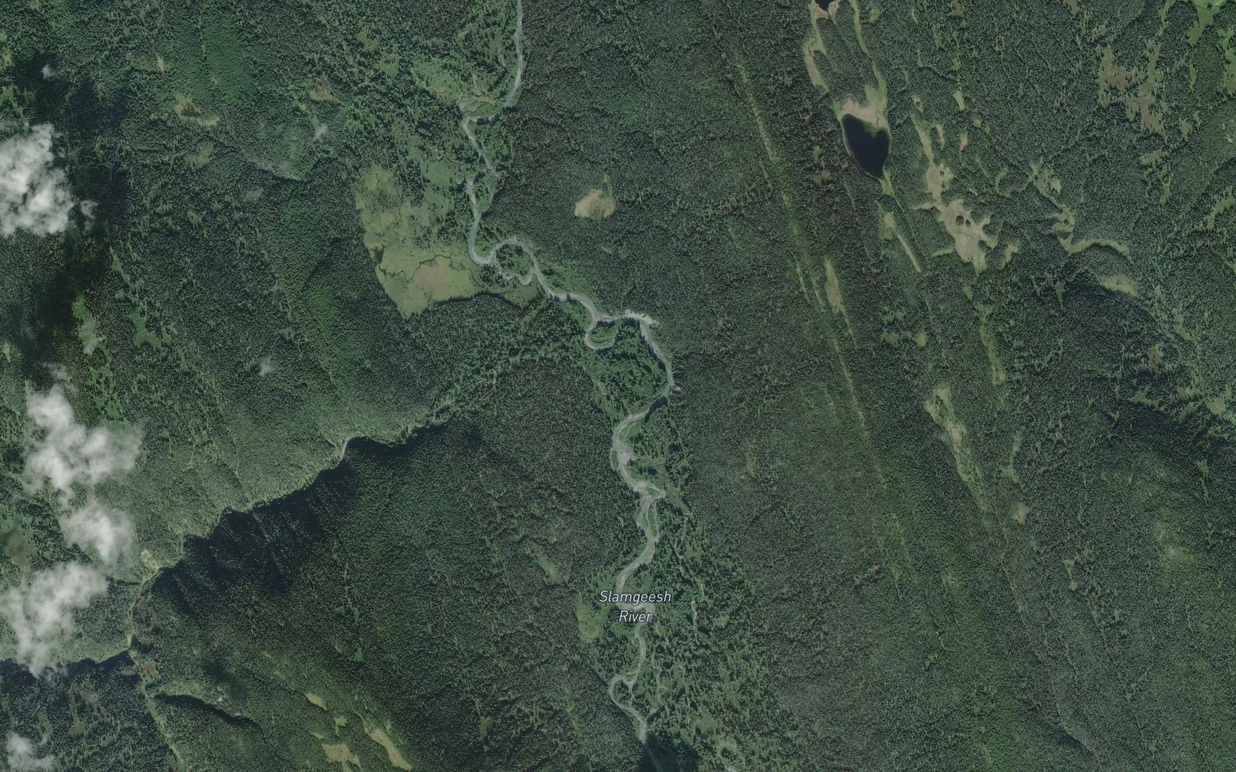 Satellite map of the Shaslomal Creek