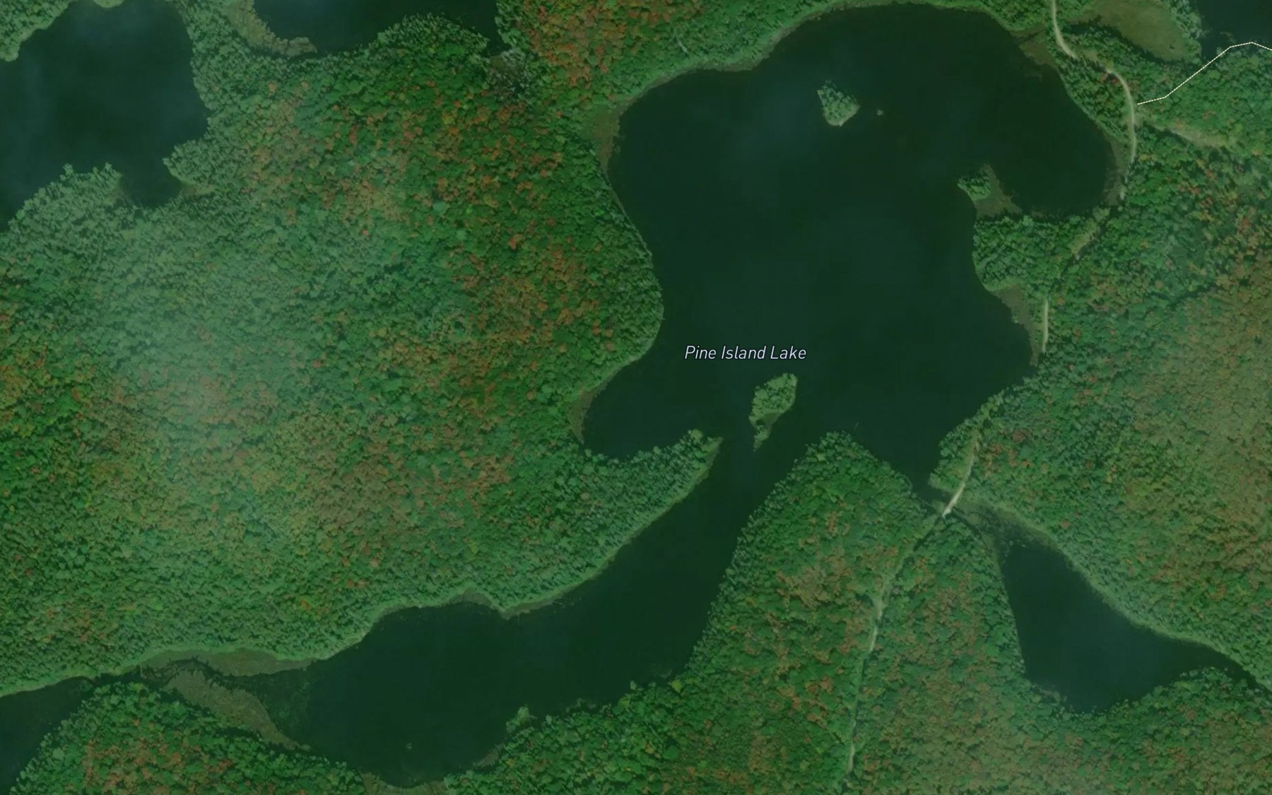 Satellite map of the Pine Island Lake