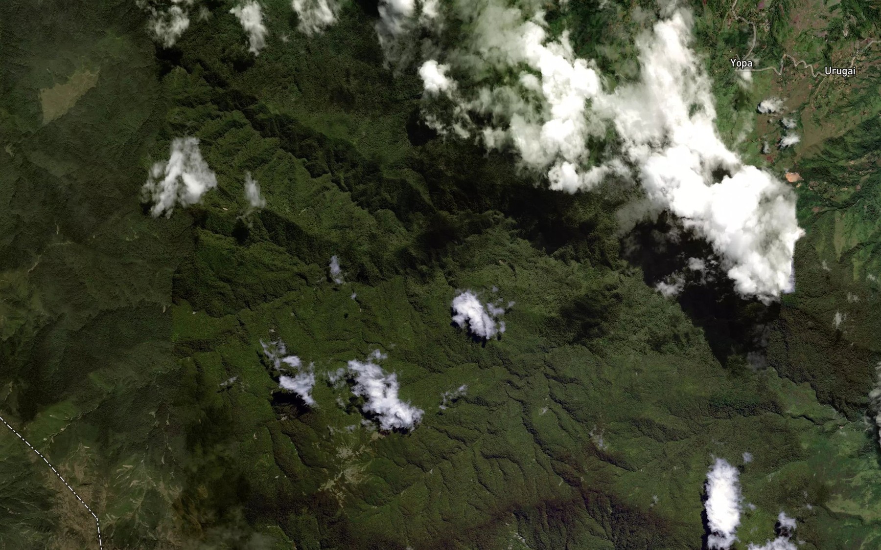 Satellite map of the Alululuma Creek