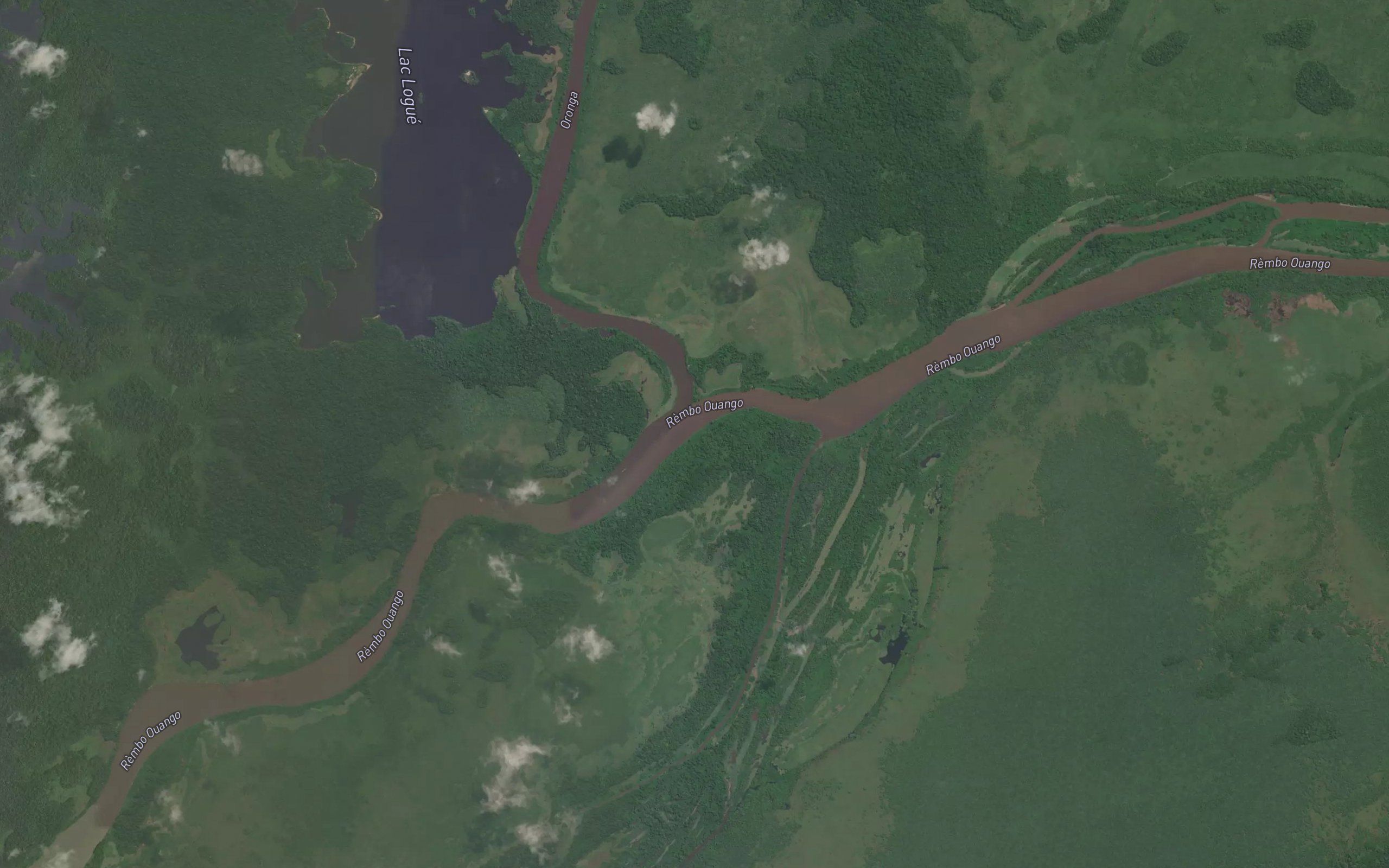 Oronga