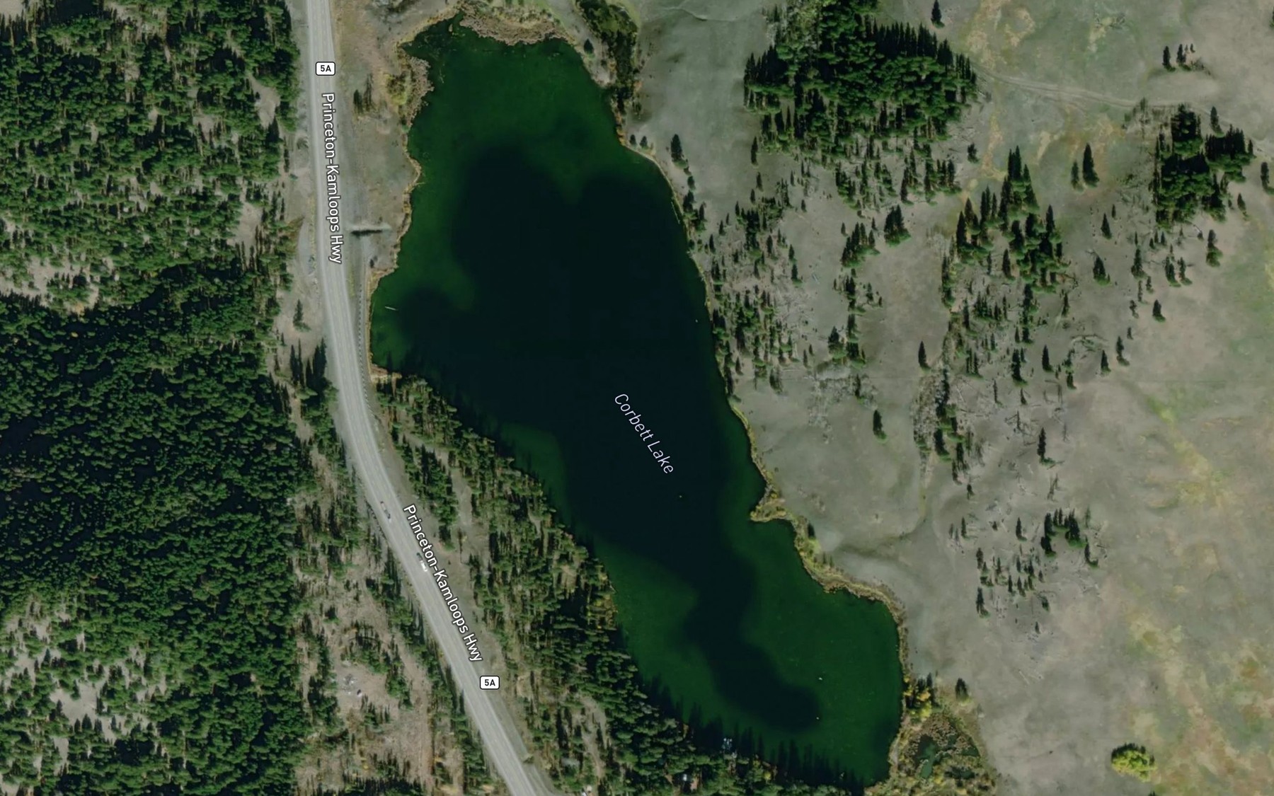 Satellite map of the Corbett Lake