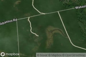 South Branch Rolfe Brook