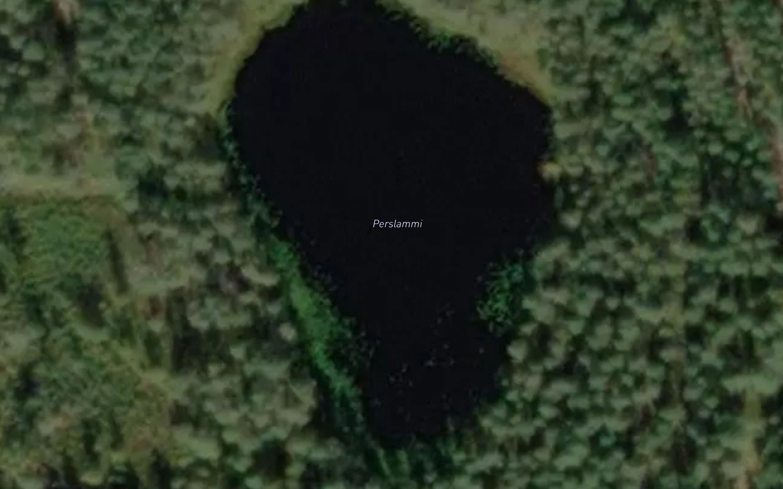 Perslammi