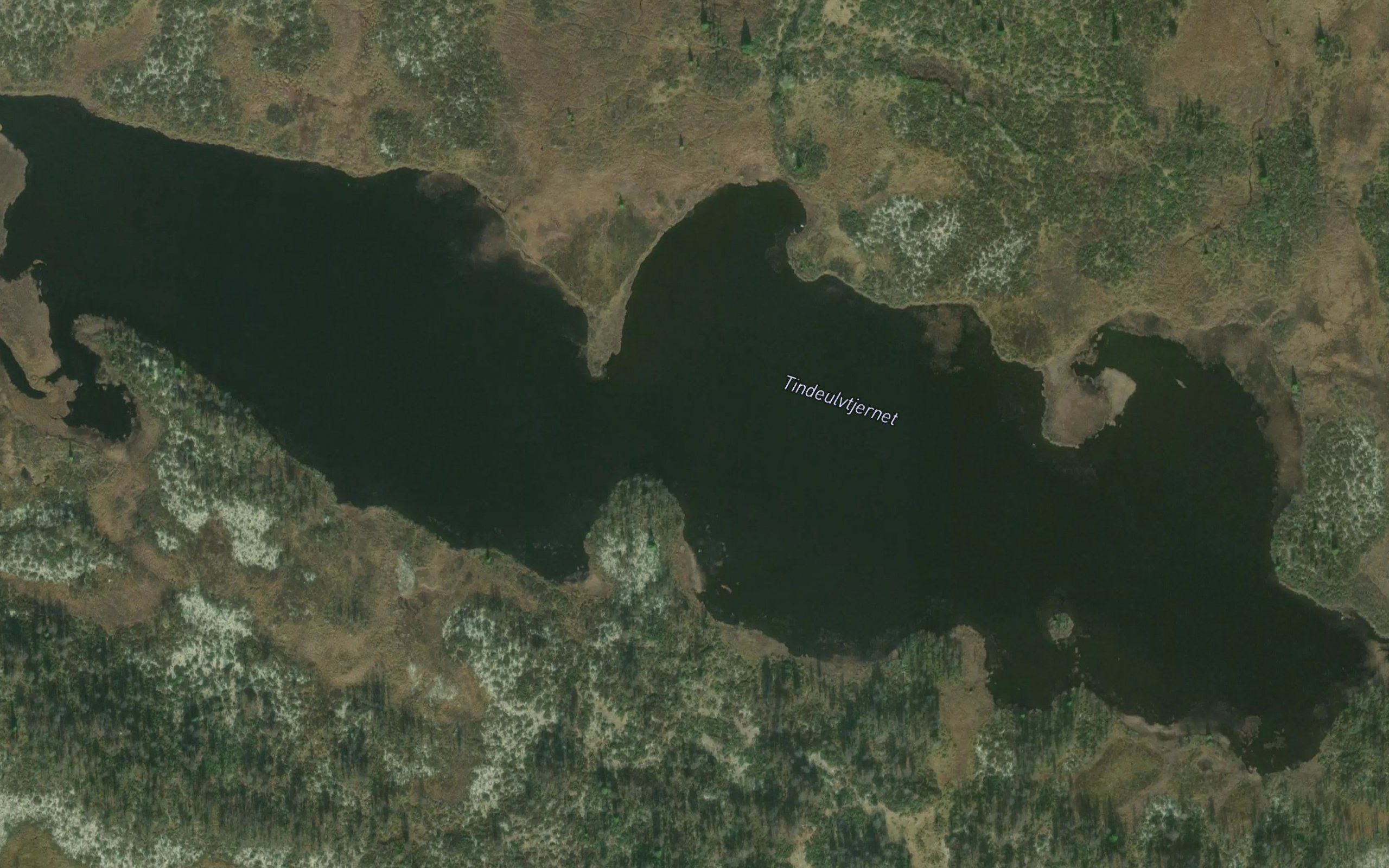Tindulvtjerni,litle