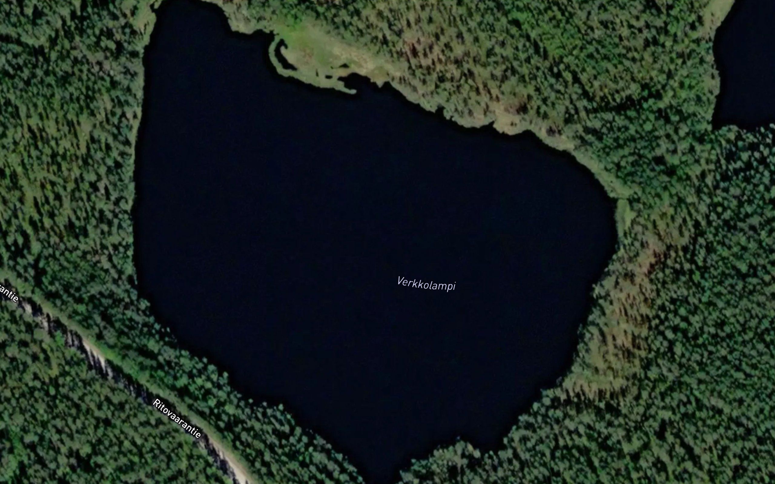 Verkkolammit