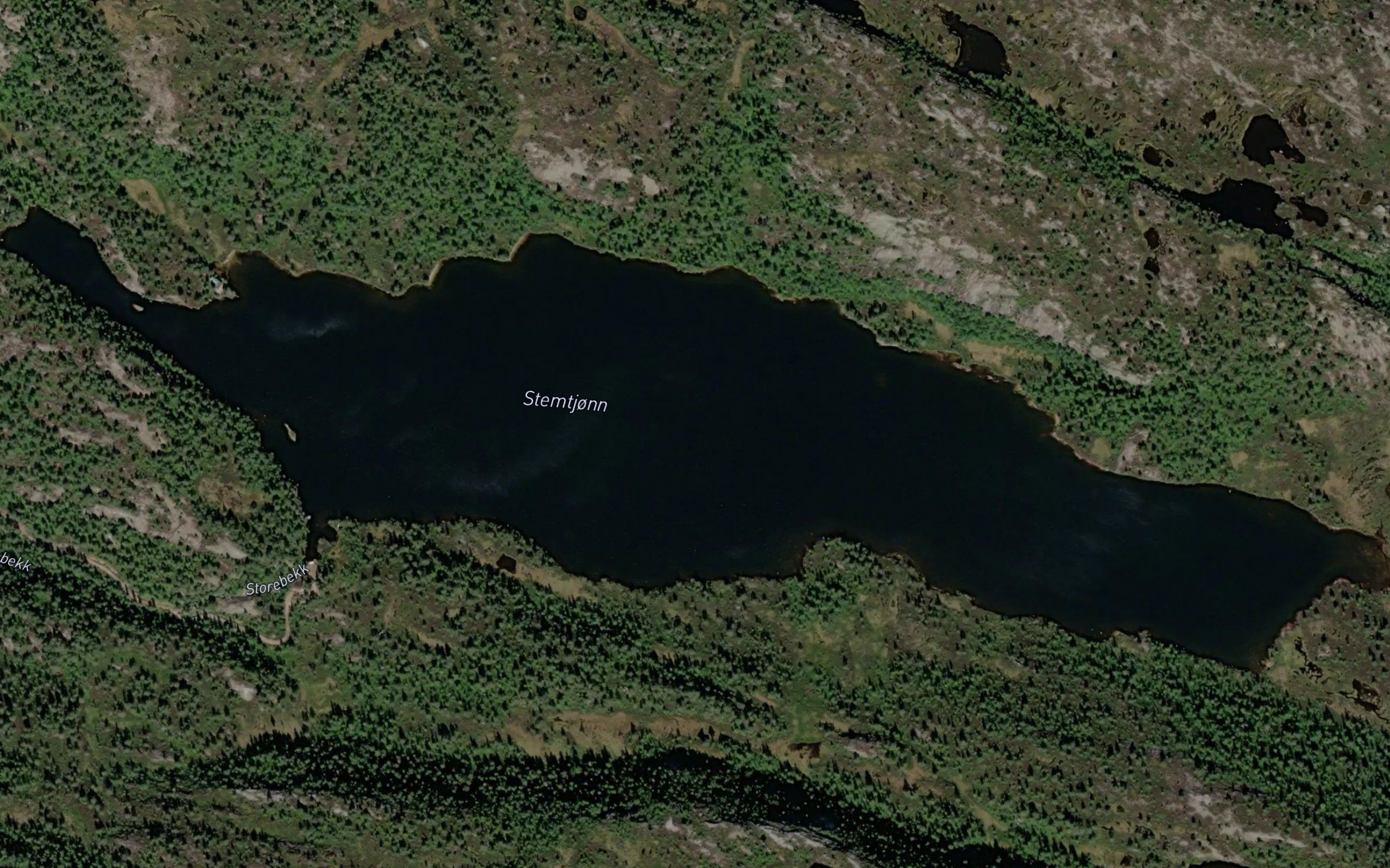 Stemtjorn