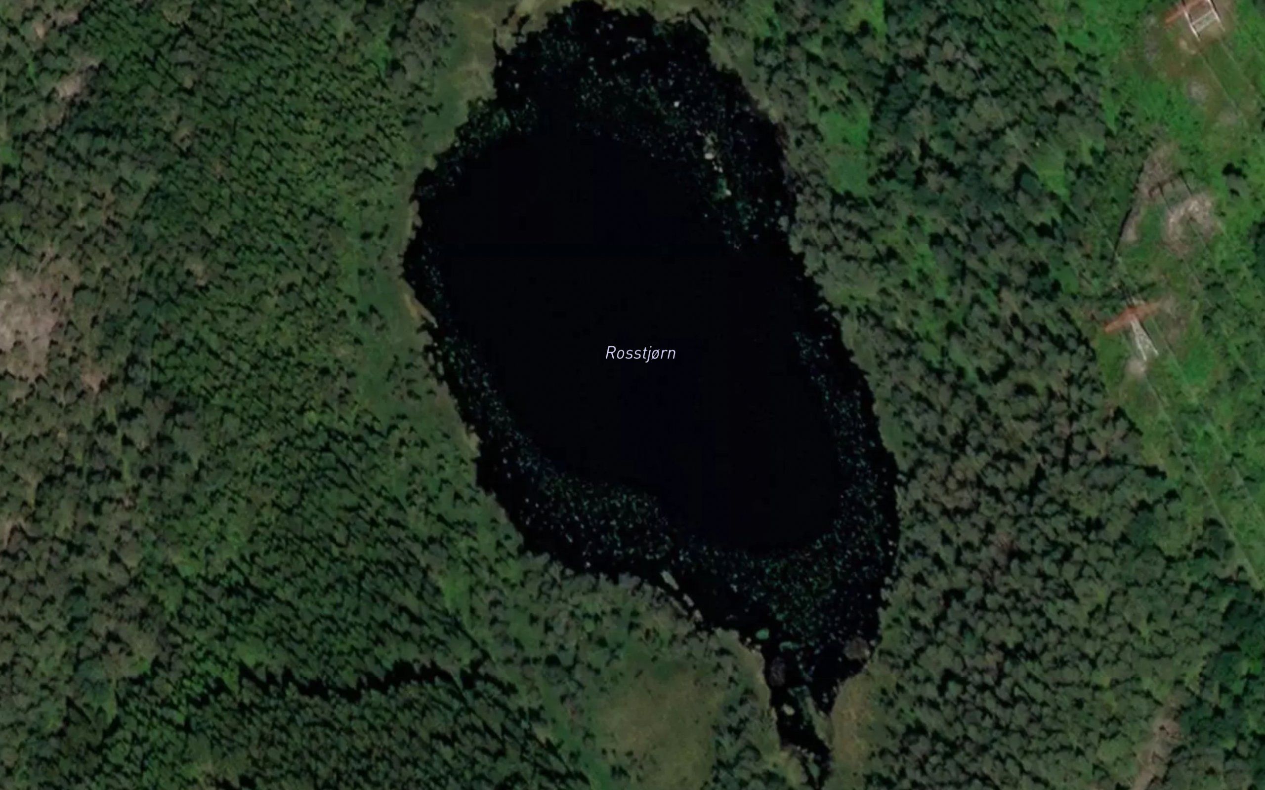 Rosstjorn