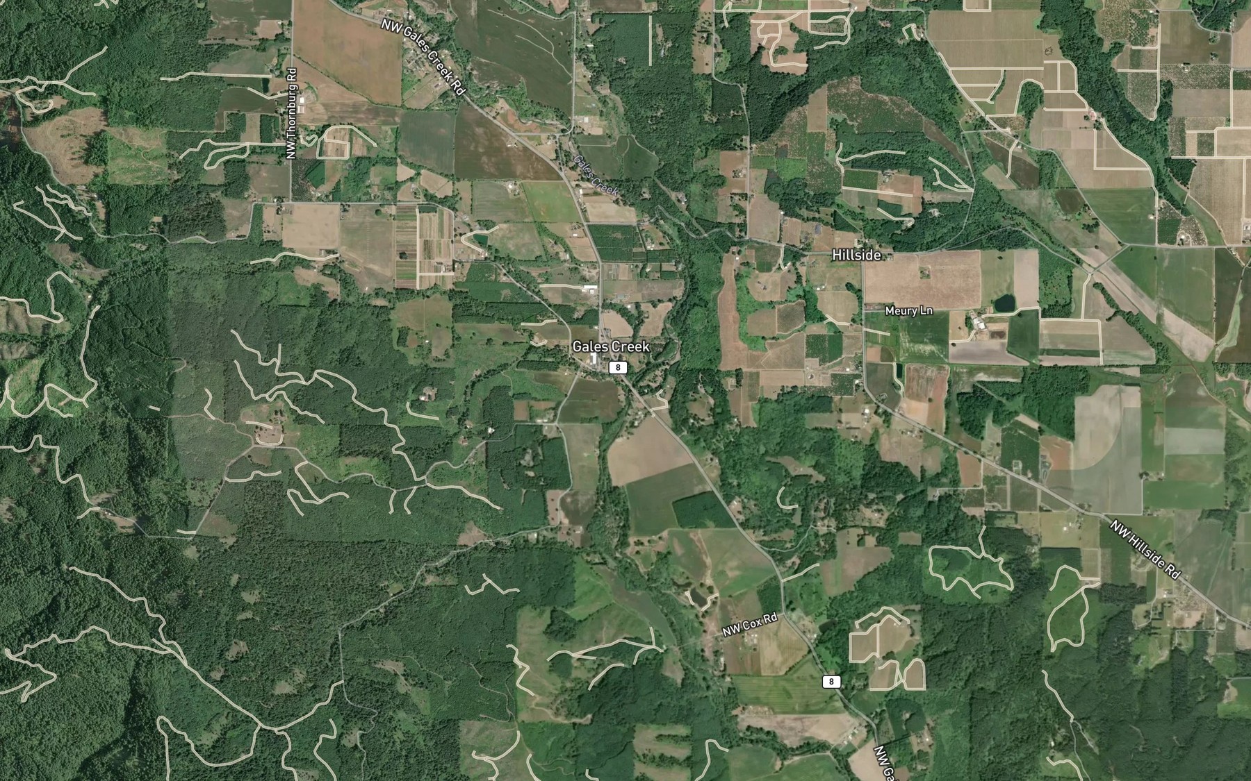 Satellite map of the Iler Creek