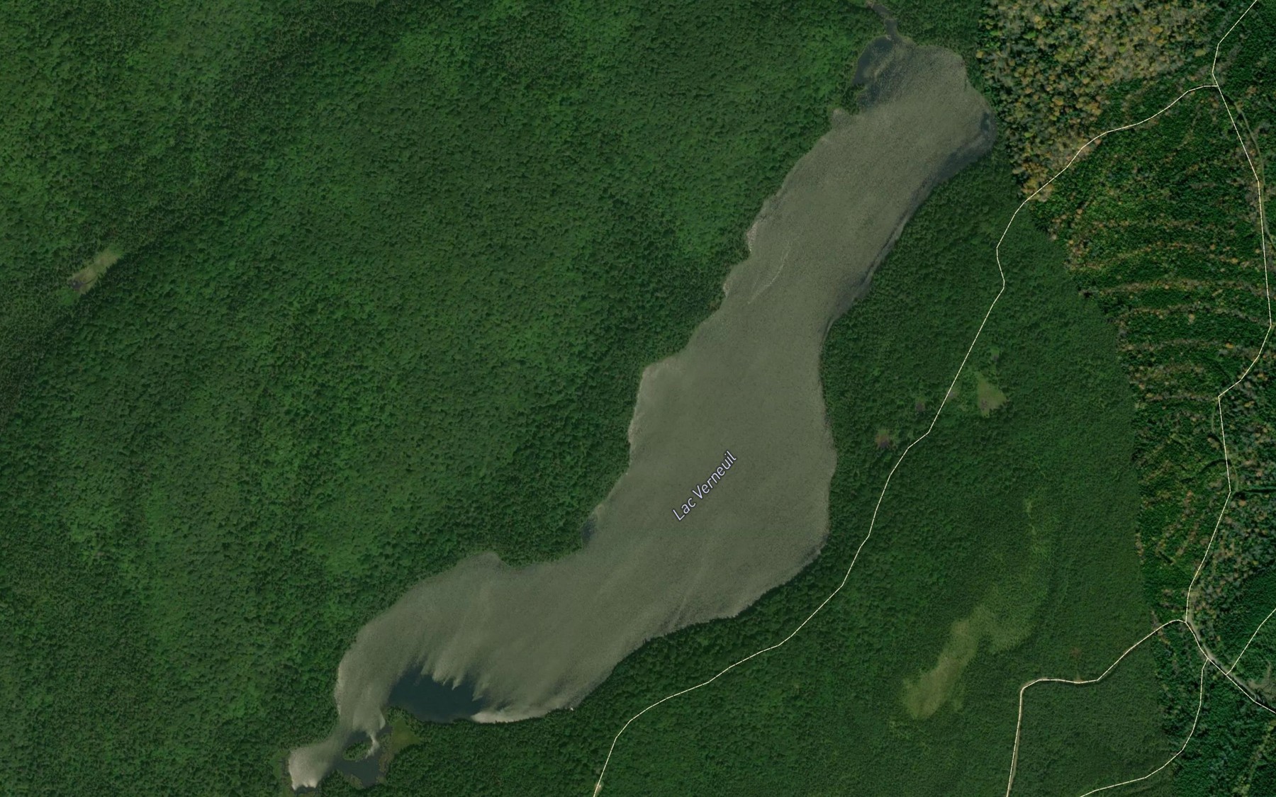 Satellite map of the Lac Verneuil