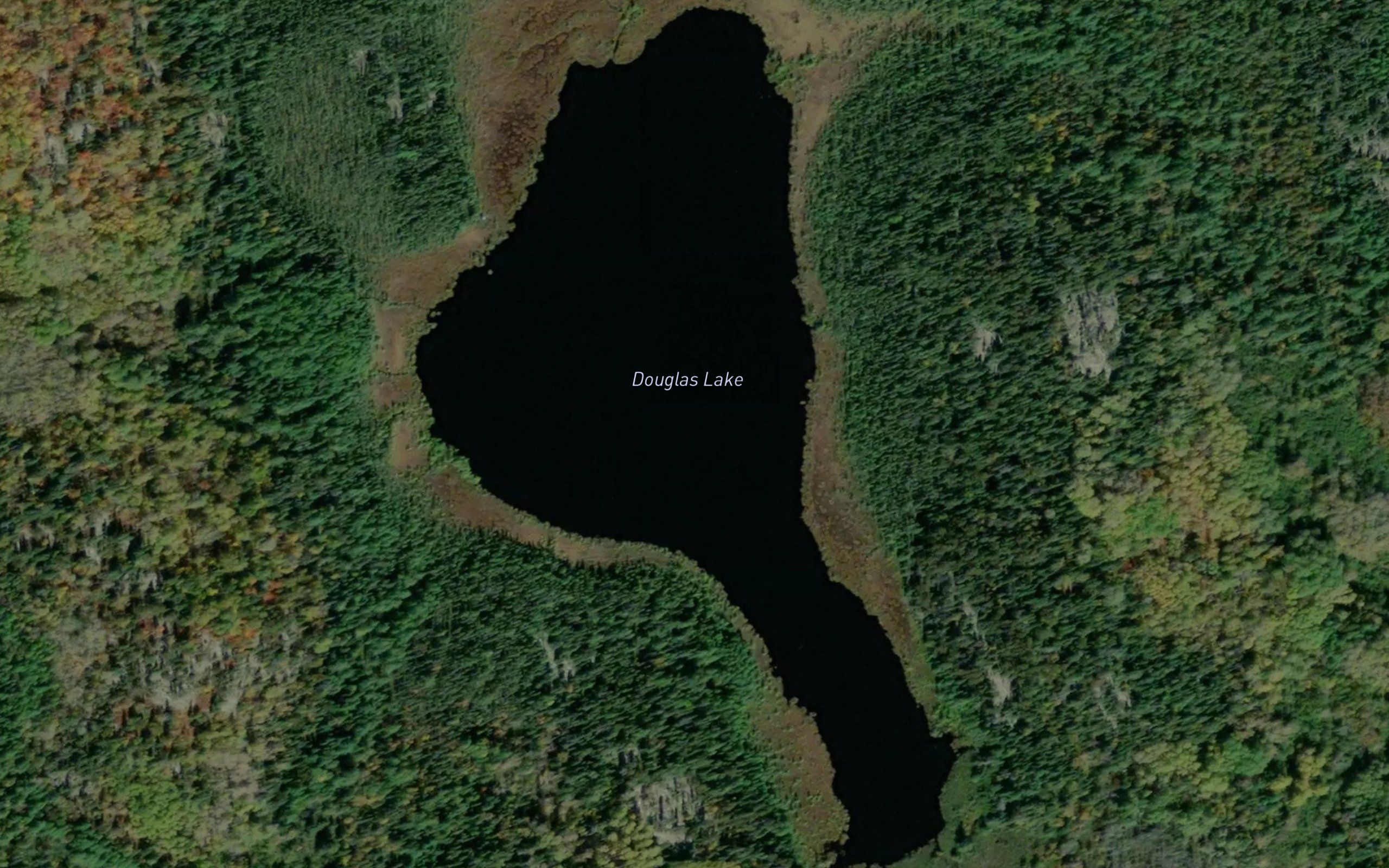 Douglas Lake