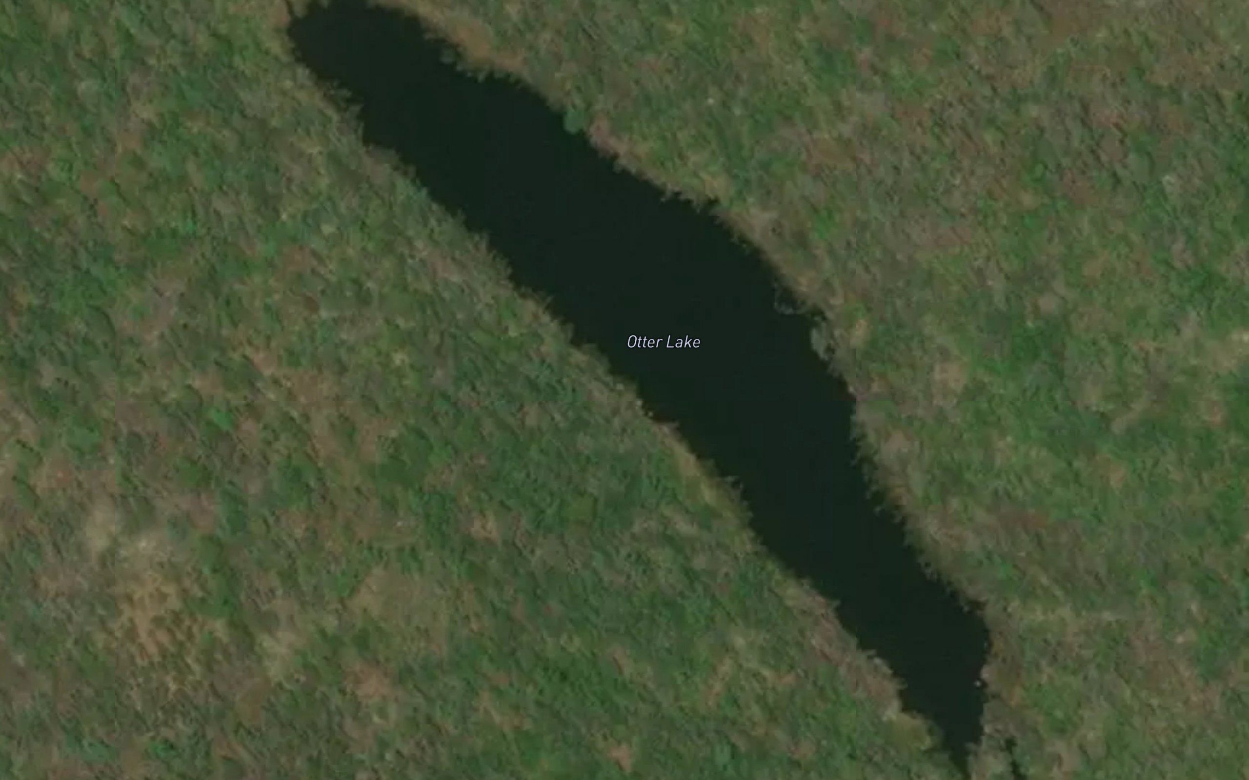 Otter Lake